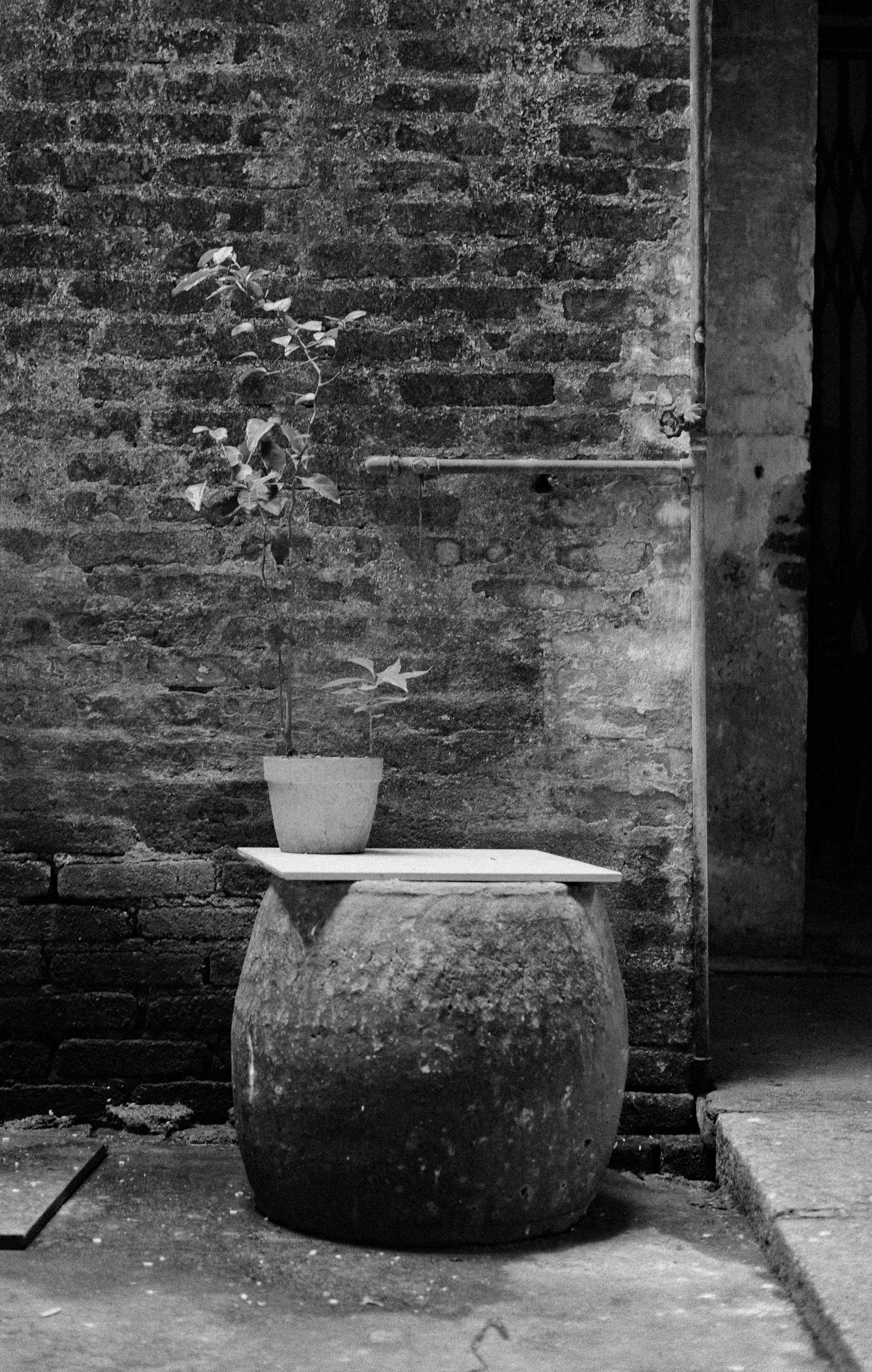 Monochrome Magic: Jiangmen Street Photography. 中国街头摄影 | The Streets of China Through My Eyes | 深圳