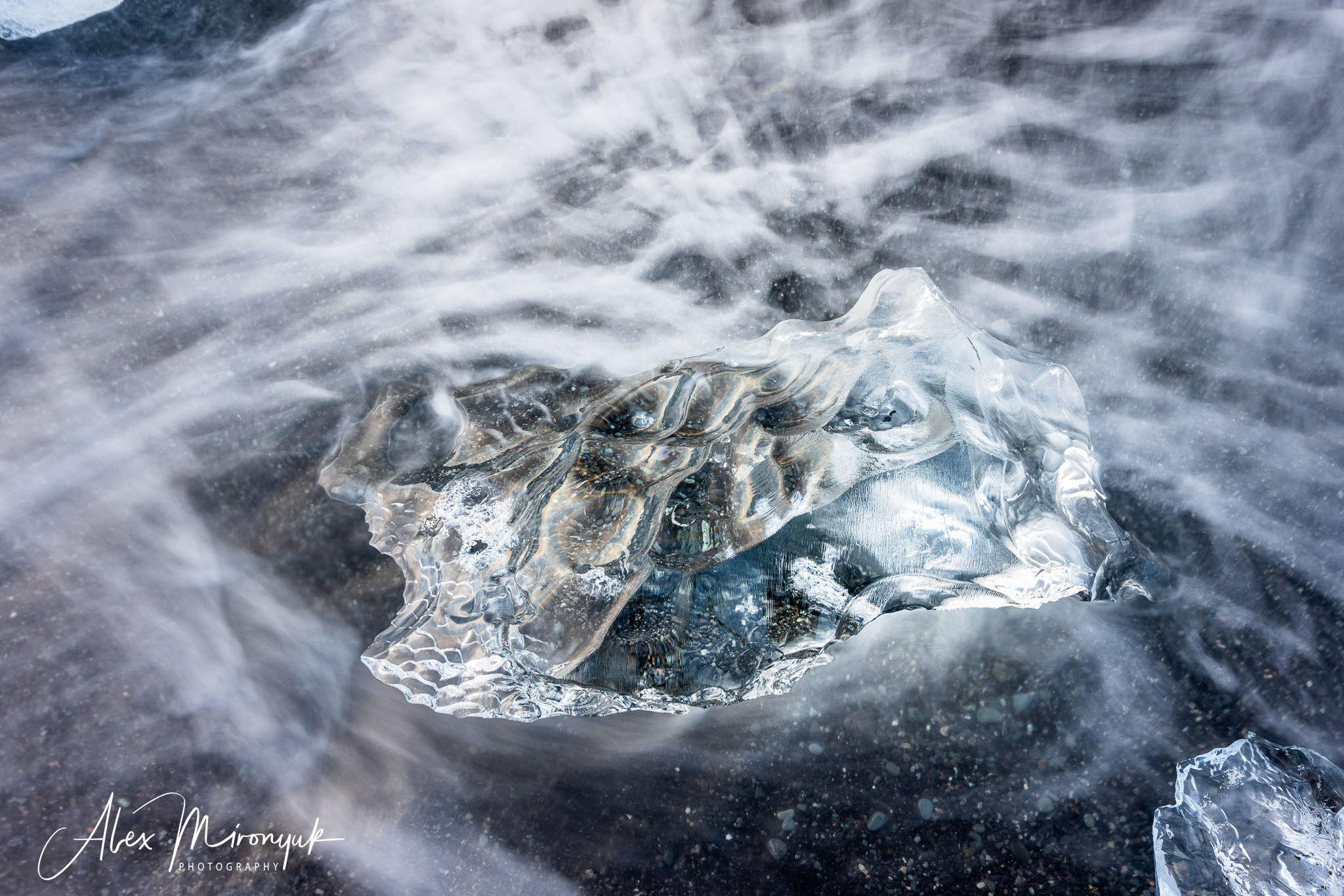 All Colors Of Iceland. Pet, Senior, Landscape, portrait studio, photographer in Miami and Sou