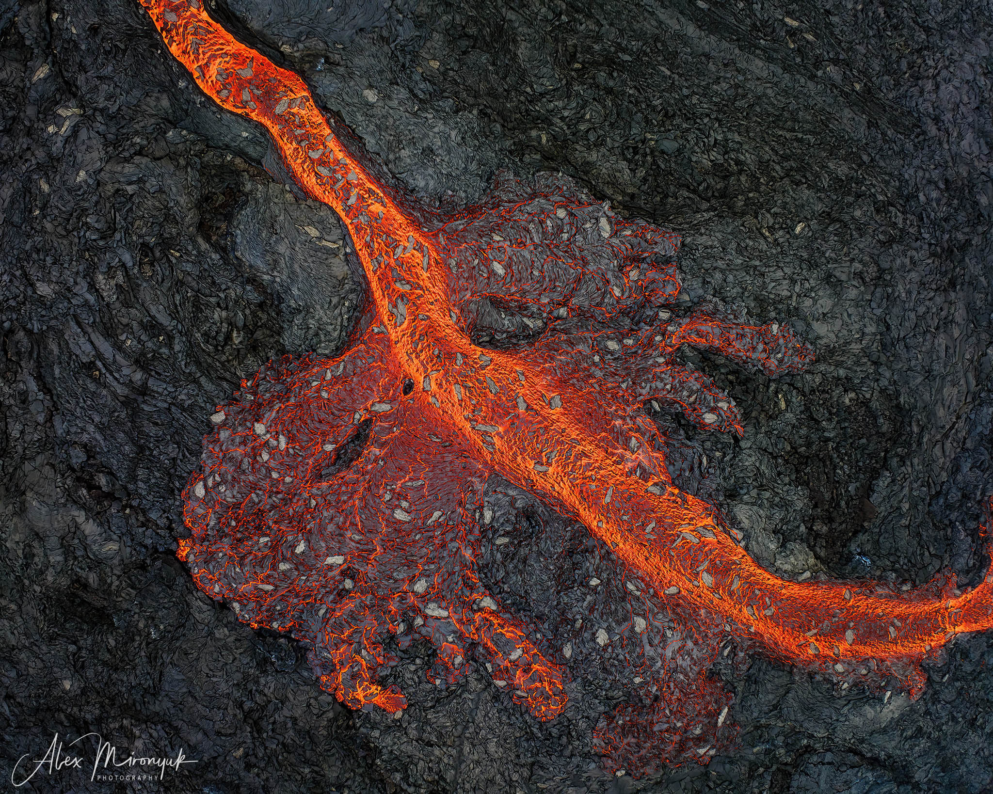 All Colors Of Iceland. Pet, Senior, Landscape, portrait studio, photographer in Miami and Sou