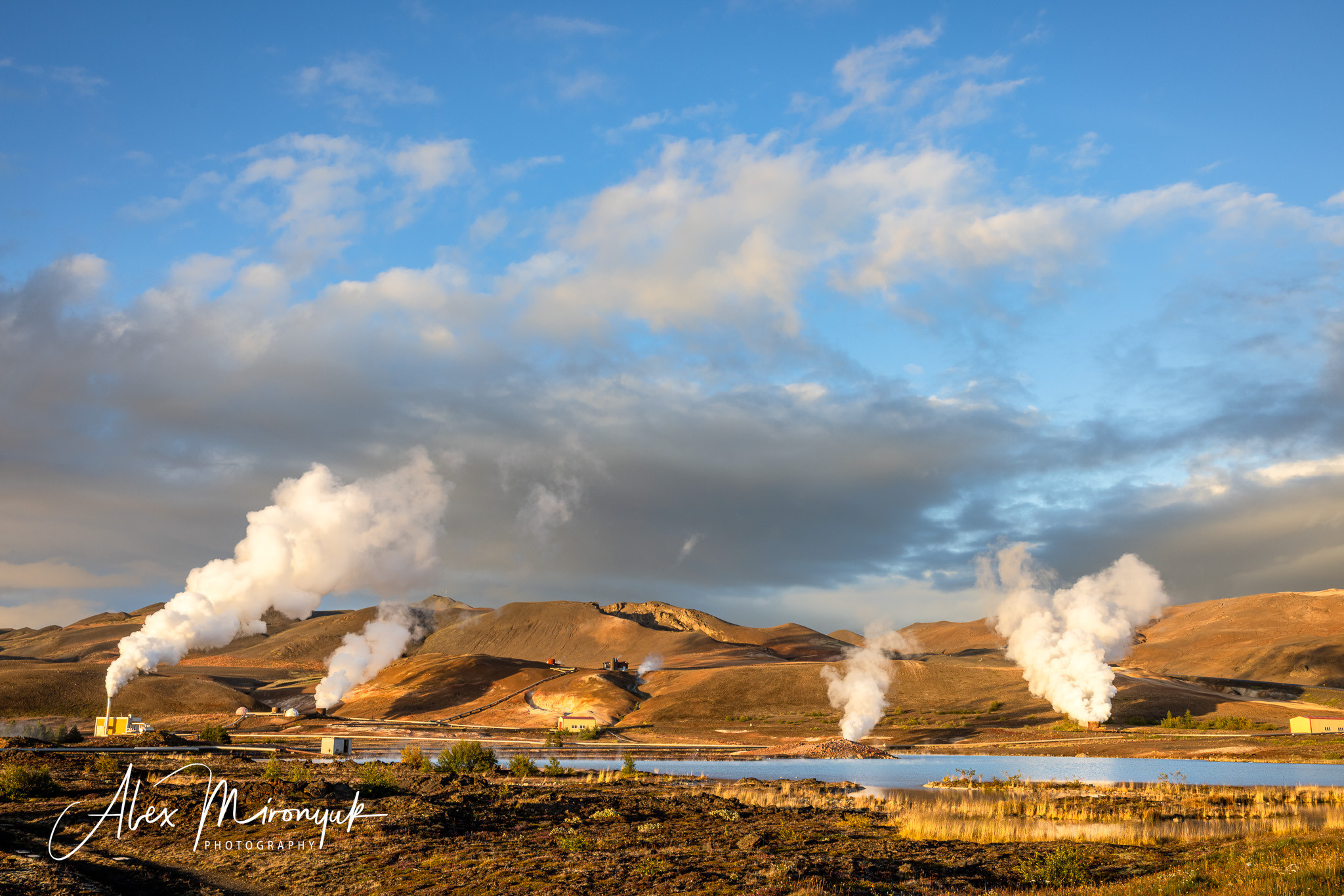 All Colors Of Iceland. Pet, Senior, Landscape, portrait studio, photographer in Miami and Sou