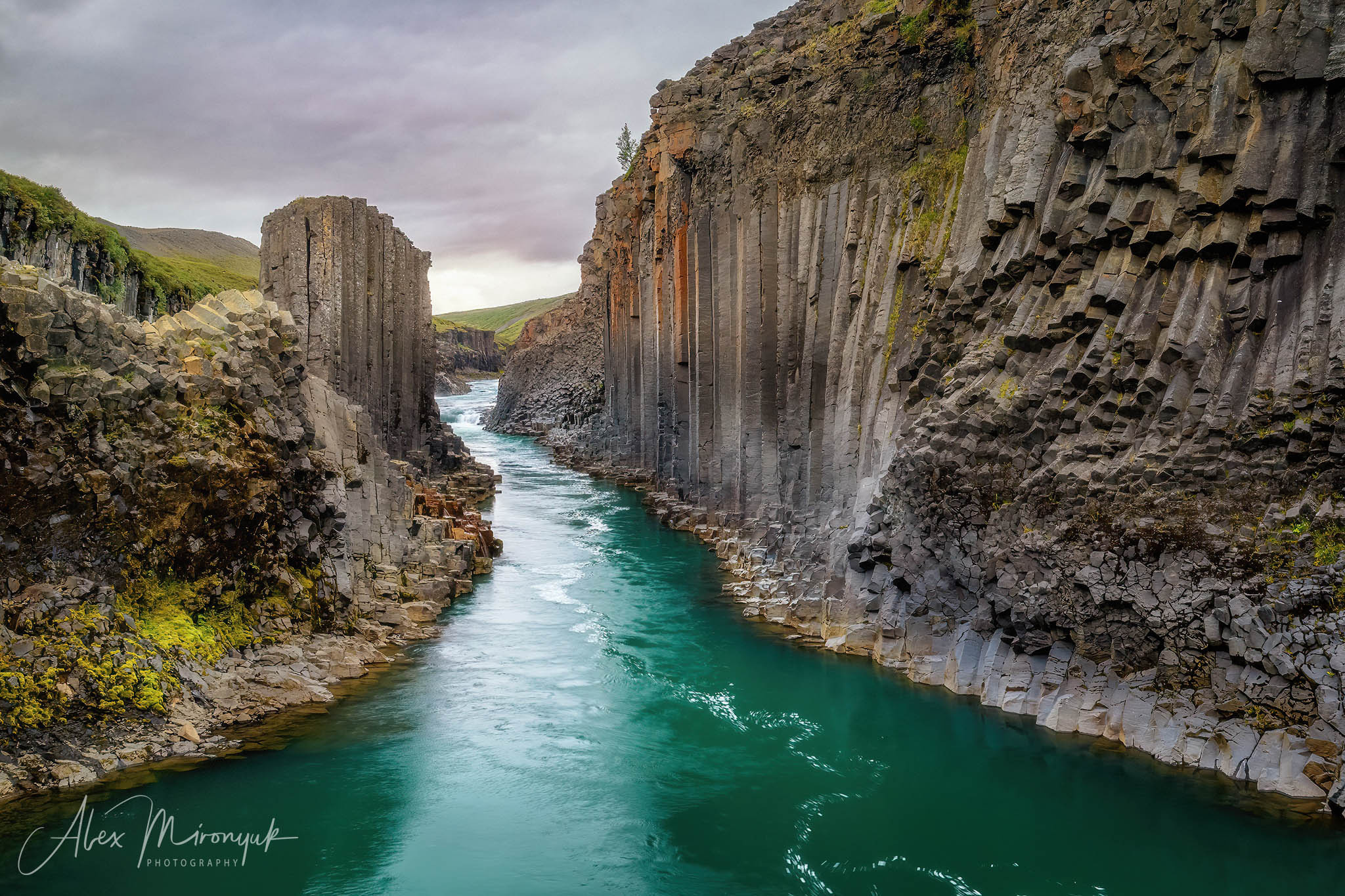 All Colors Of Iceland. Pet, Senior, Landscape, portrait studio, photographer in Miami and Sou