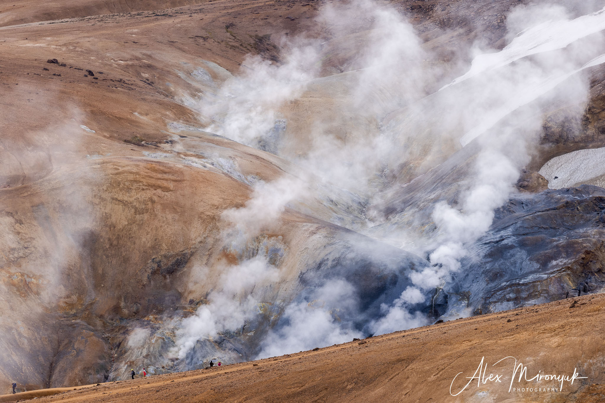All Colors Of Iceland. Pet, Senior, Landscape, portrait studio, photographer in Miami and Sou