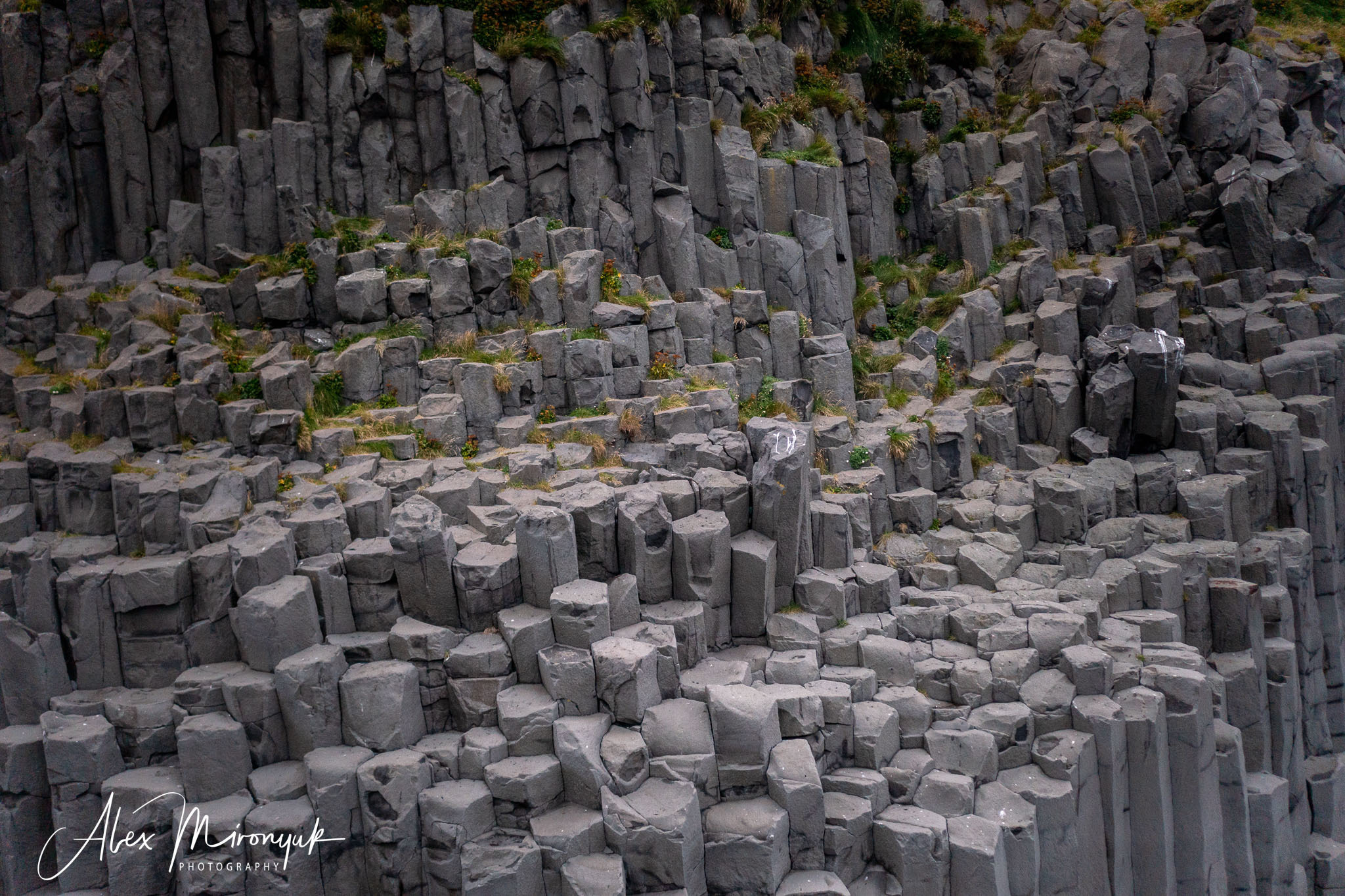 All Colors Of Iceland. Pet, Senior, Landscape, portrait studio, photographer in Miami and Sou