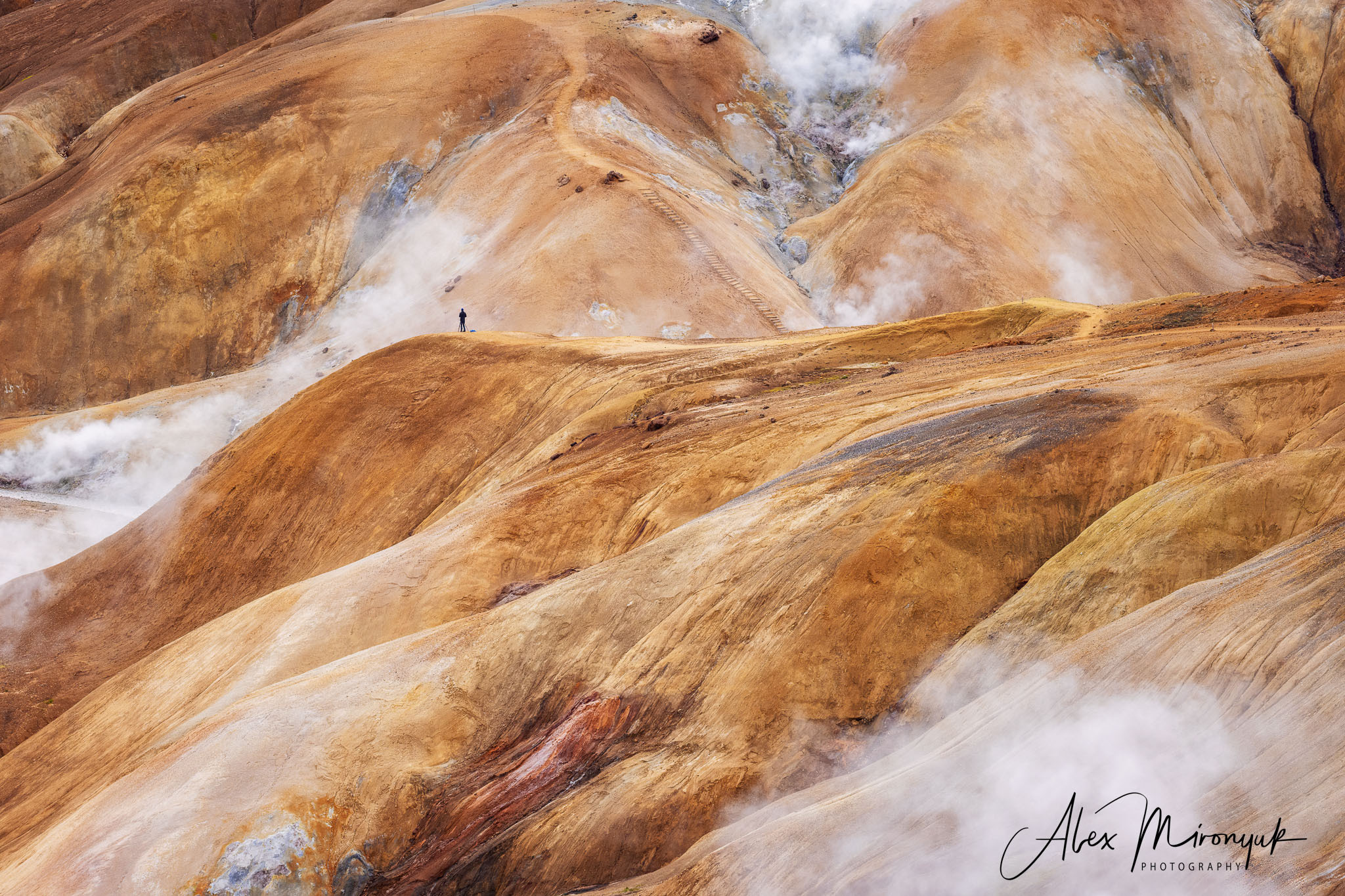 All Colors Of Iceland. Pet, Senior, Landscape, portrait studio, photographer in Miami and Sou