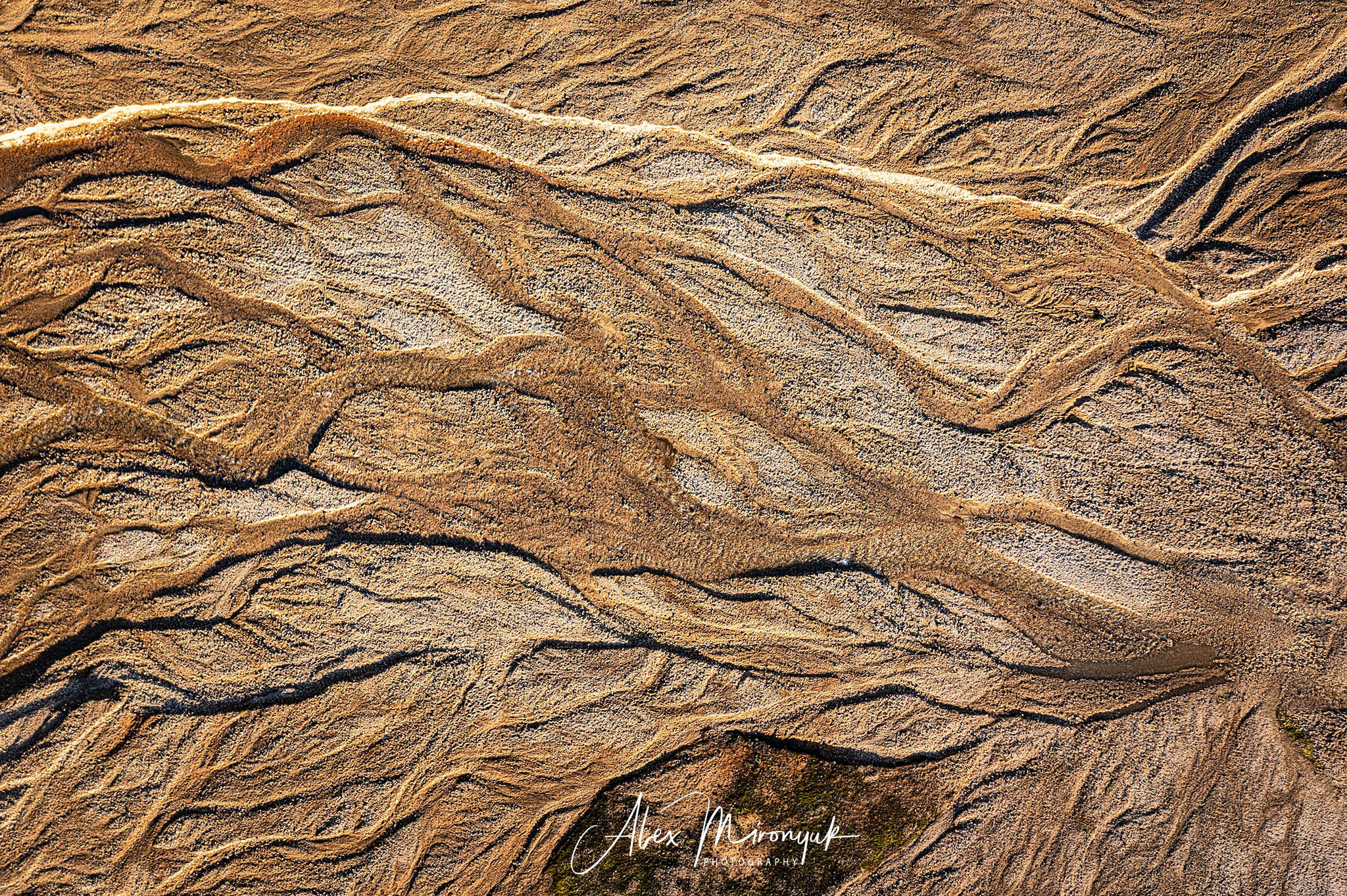 All Colors Of Iceland. Pet, Senior, Landscape, portrait studio, photographer in Miami and Sou