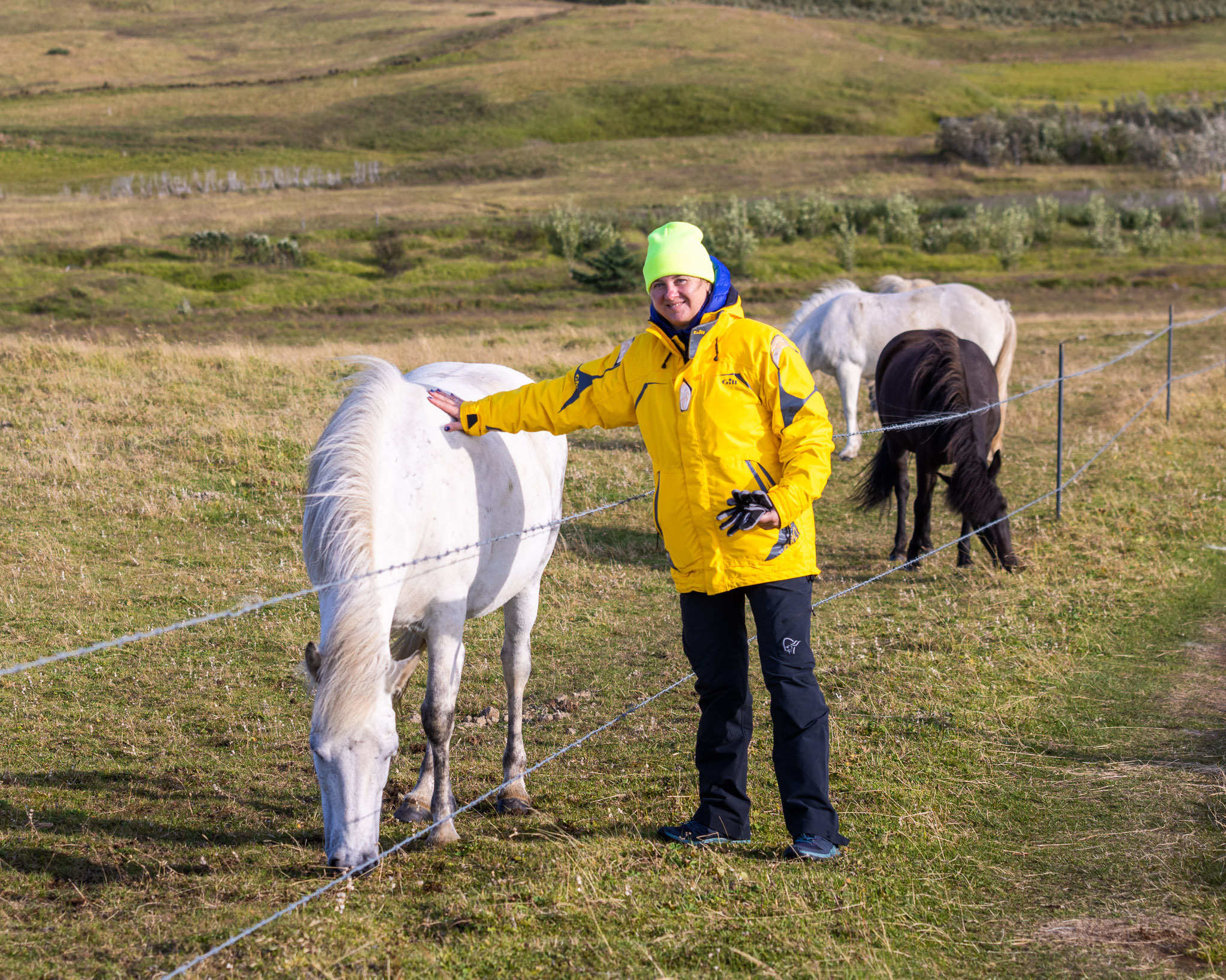 All Colors Of Iceland. Pet, Senior, Landscape, portrait studio, photographer in Miami and Sou