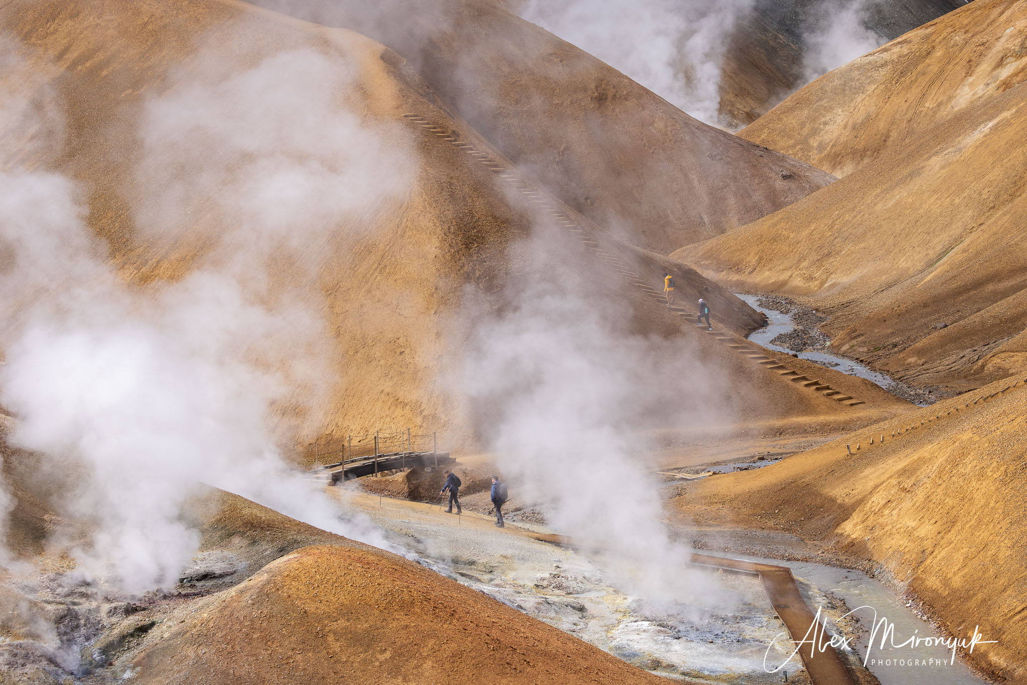 All Colors Of Iceland. Pet, Senior, Landscape, portrait studio, photographer in Miami and Sou