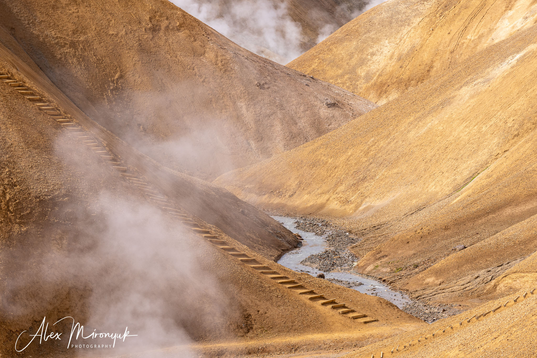 All Colors Of Iceland. Pet, Senior, Landscape, portrait studio, photographer in Miami and Sou