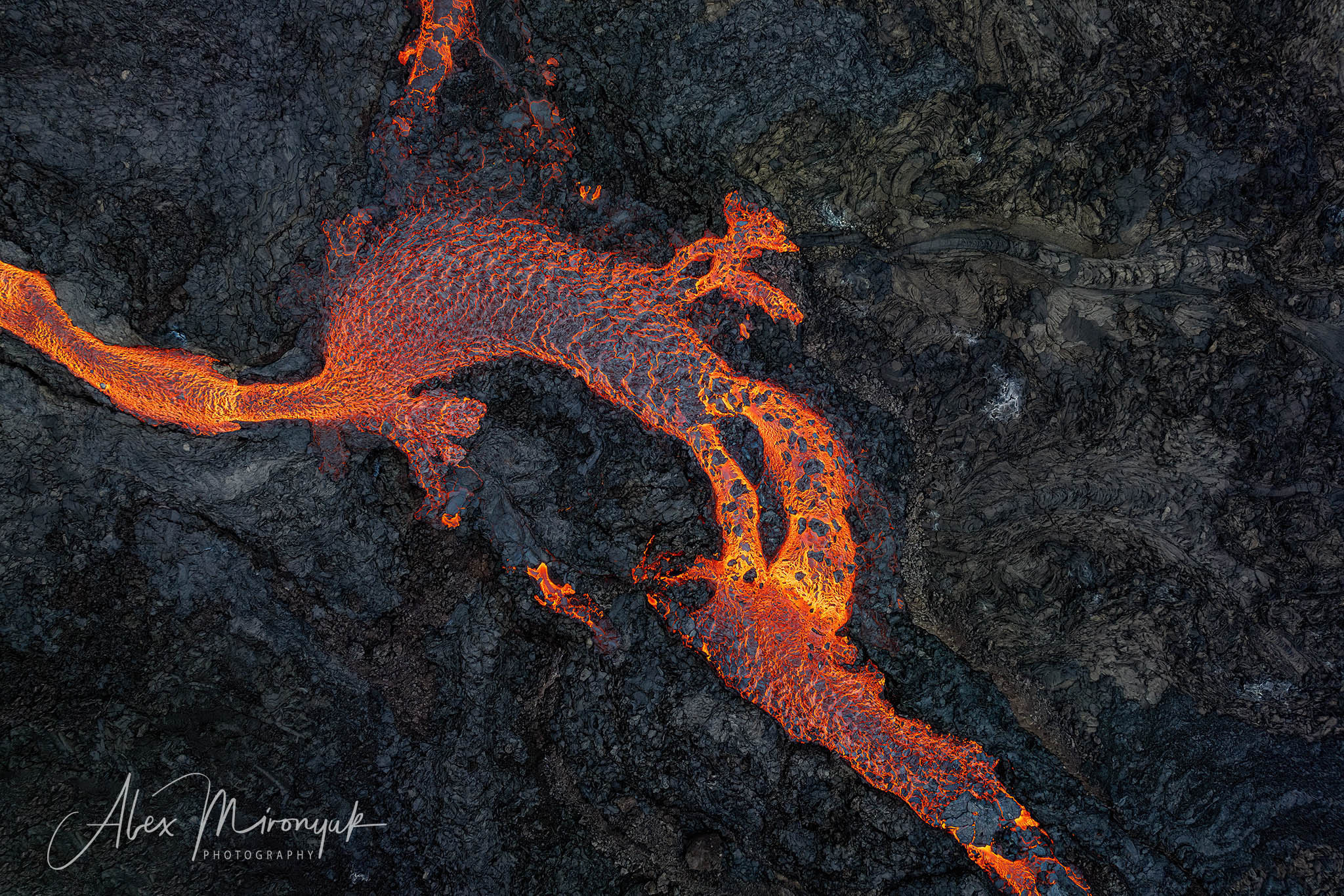 All Colors Of Iceland. Pet, Senior, Landscape, portrait studio, photographer in Miami and Sou