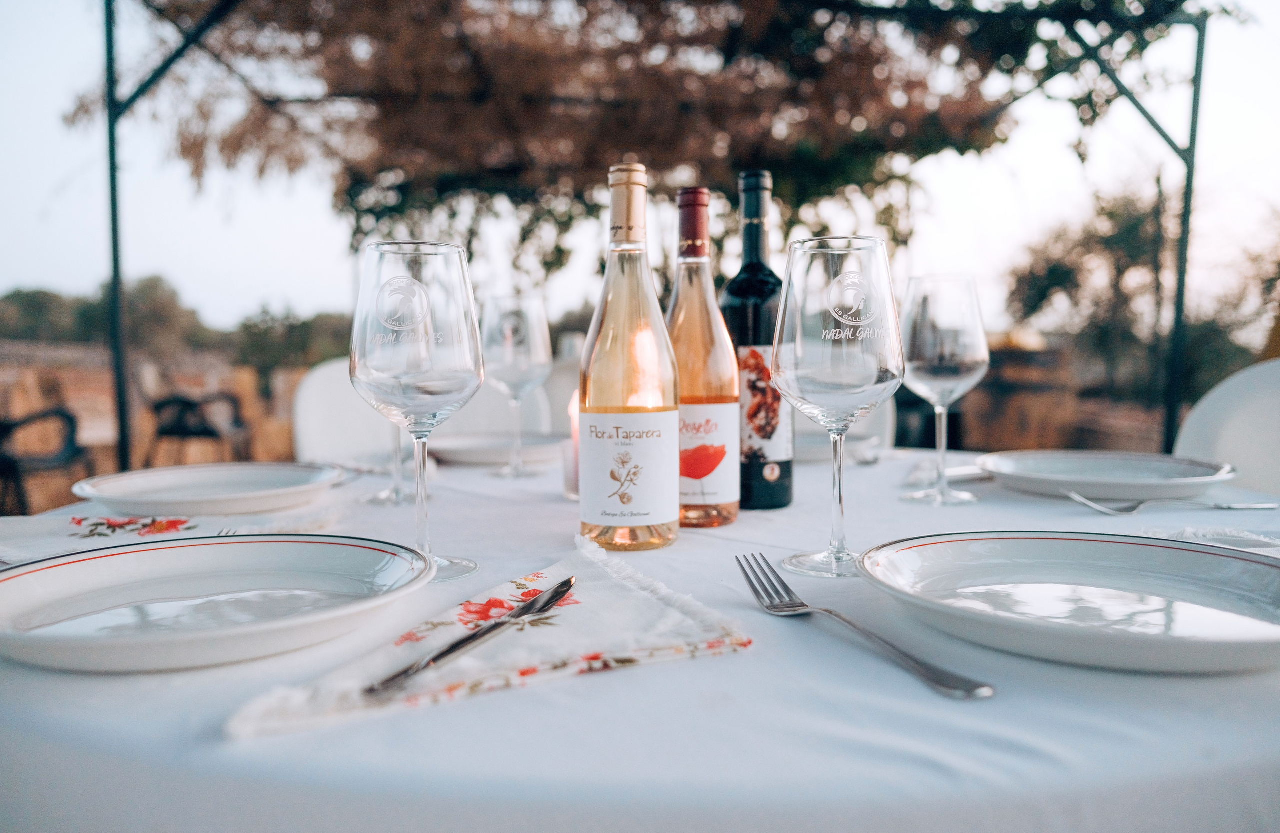 Bodega. Photographer in Mallorca