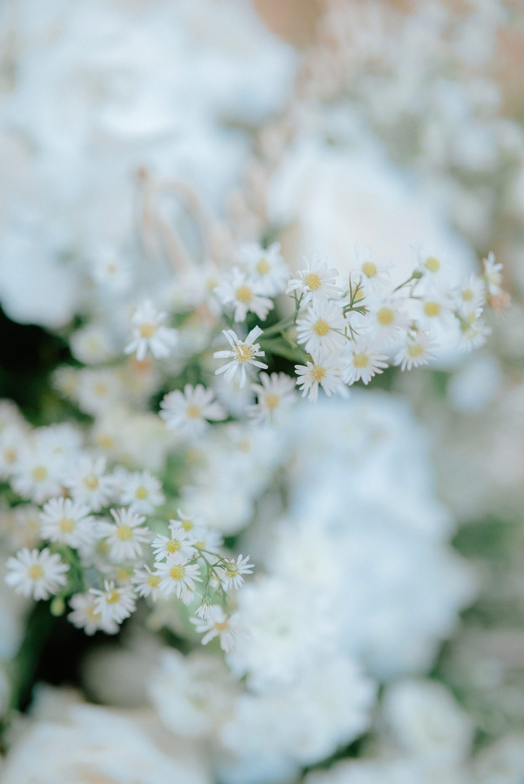 Cindy + Garrett | Destination Wedding Photos in Cartagena 2025 – César Vanegas Photography. César Vanegas Photography | Wedding & Travel Photographer | Cartagena, Colombia