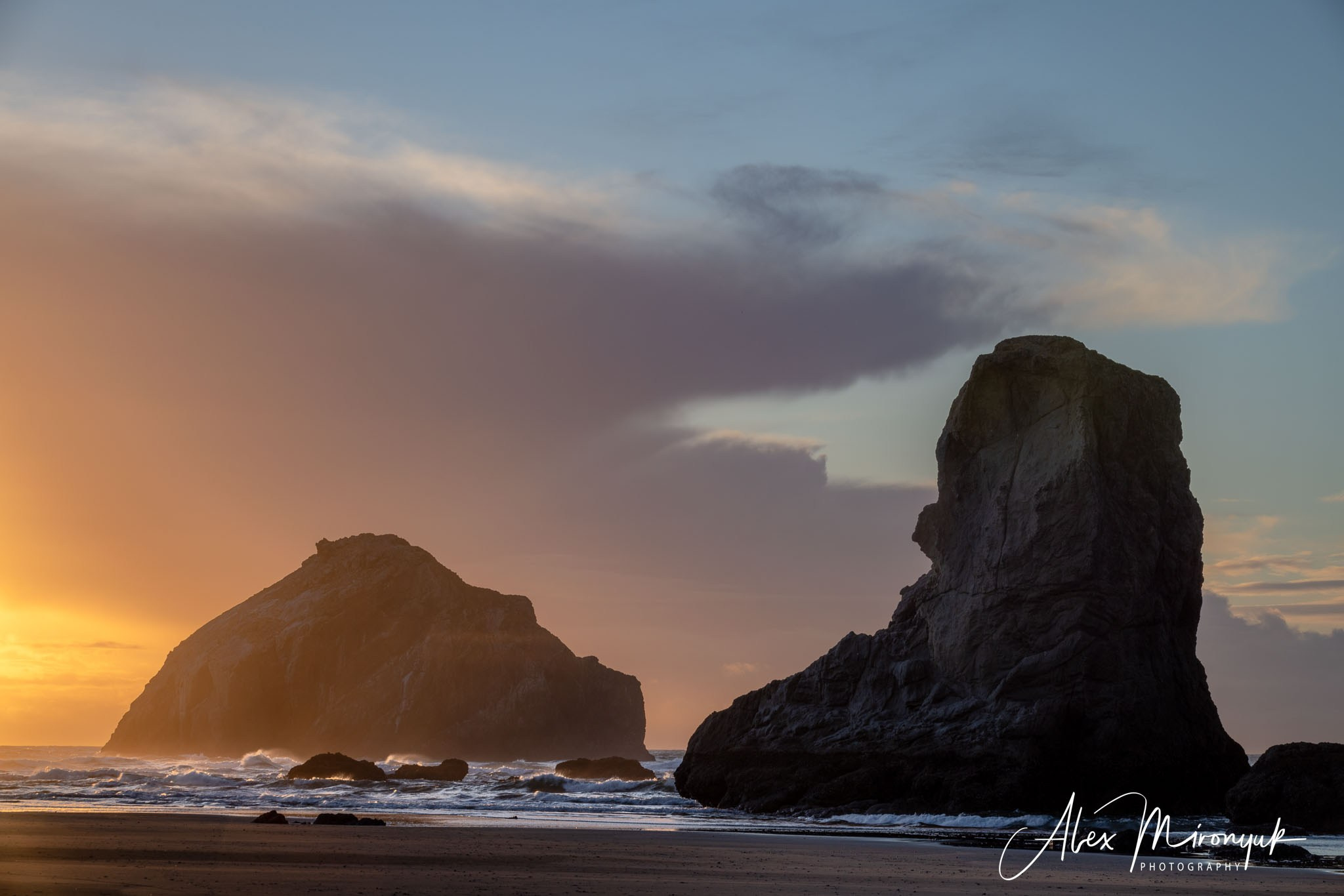 Oregon Coast Photo Workshop. Pet, Senior, Landscape, portrait studio, photographer in Miami and Sou