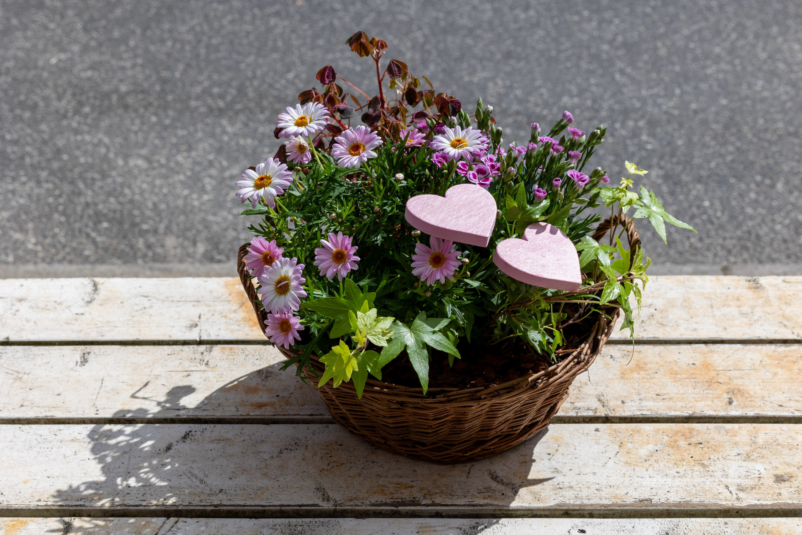 Lad glæden vare endnu længere med et arrangement af forskellige planter. Underlag og plante vil variere alt efter sortiment og sæson.