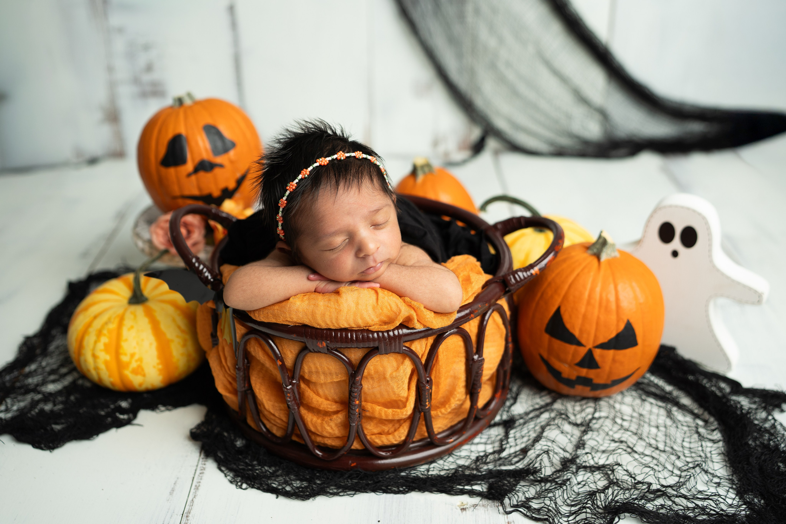 Posed Newborn. Maternity, family and newborn photography in San Francisco Bay Area