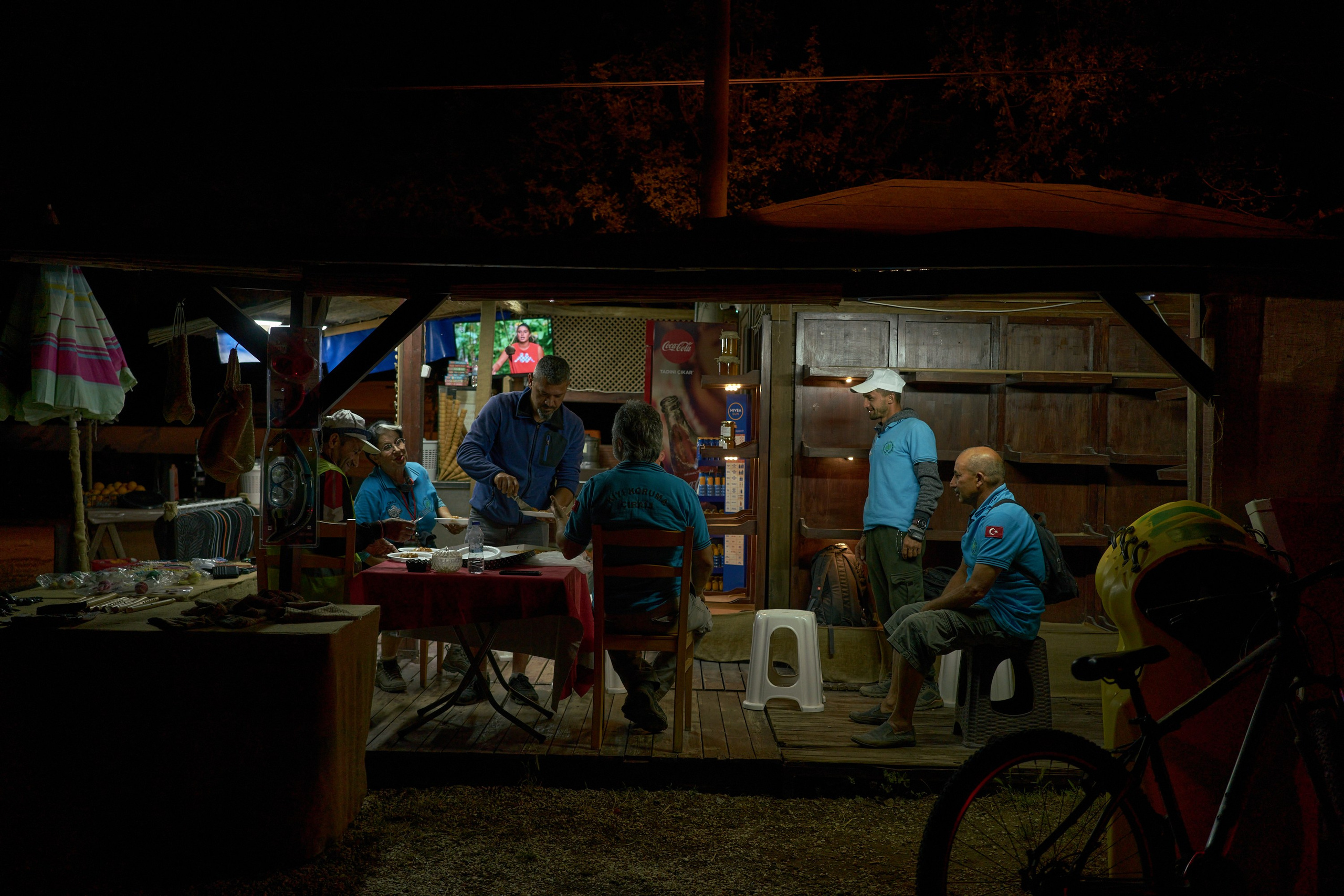 Caretta caretta | Anastasiia Nelen photographer