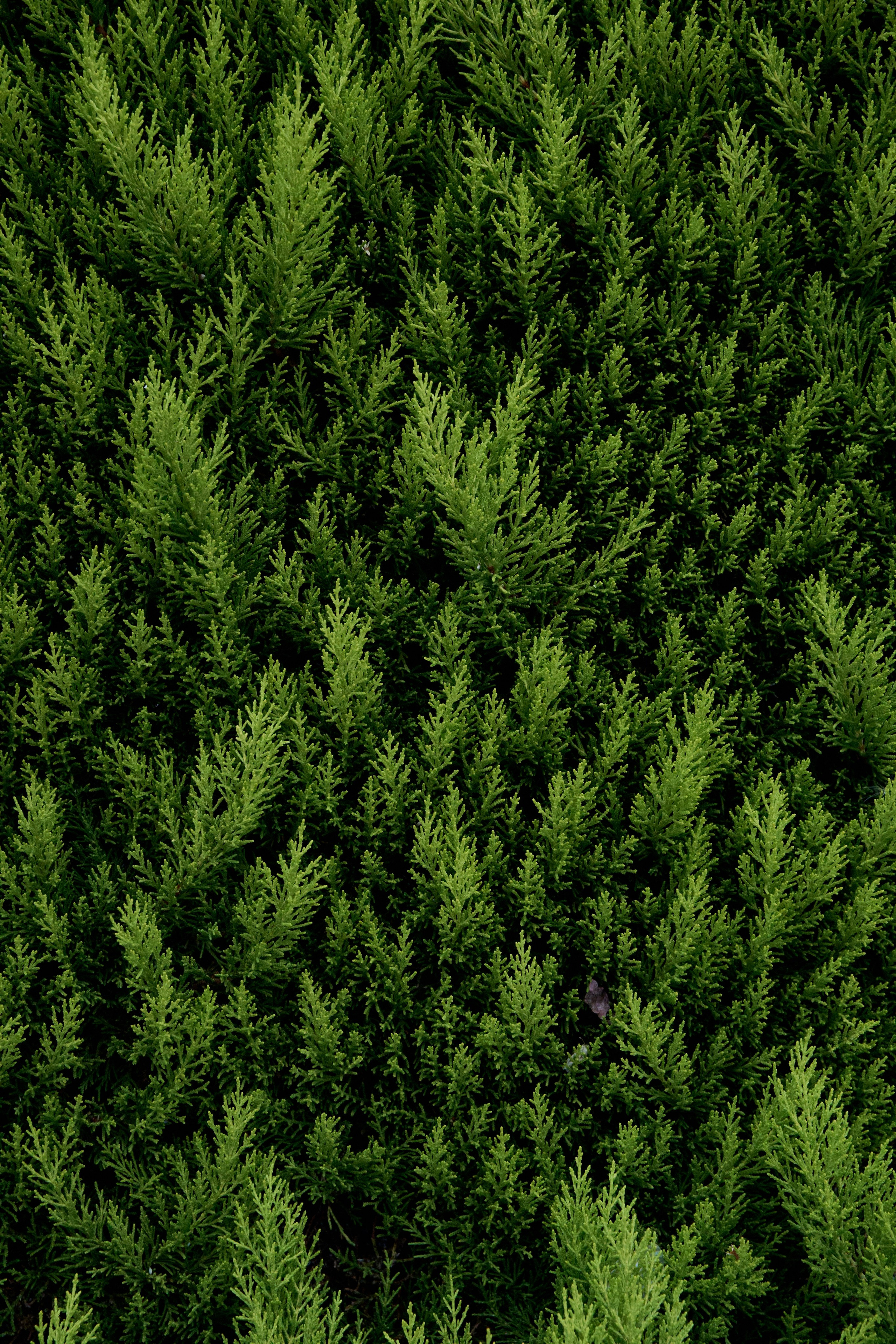 Моими глазами. Привет, давай знакомиться