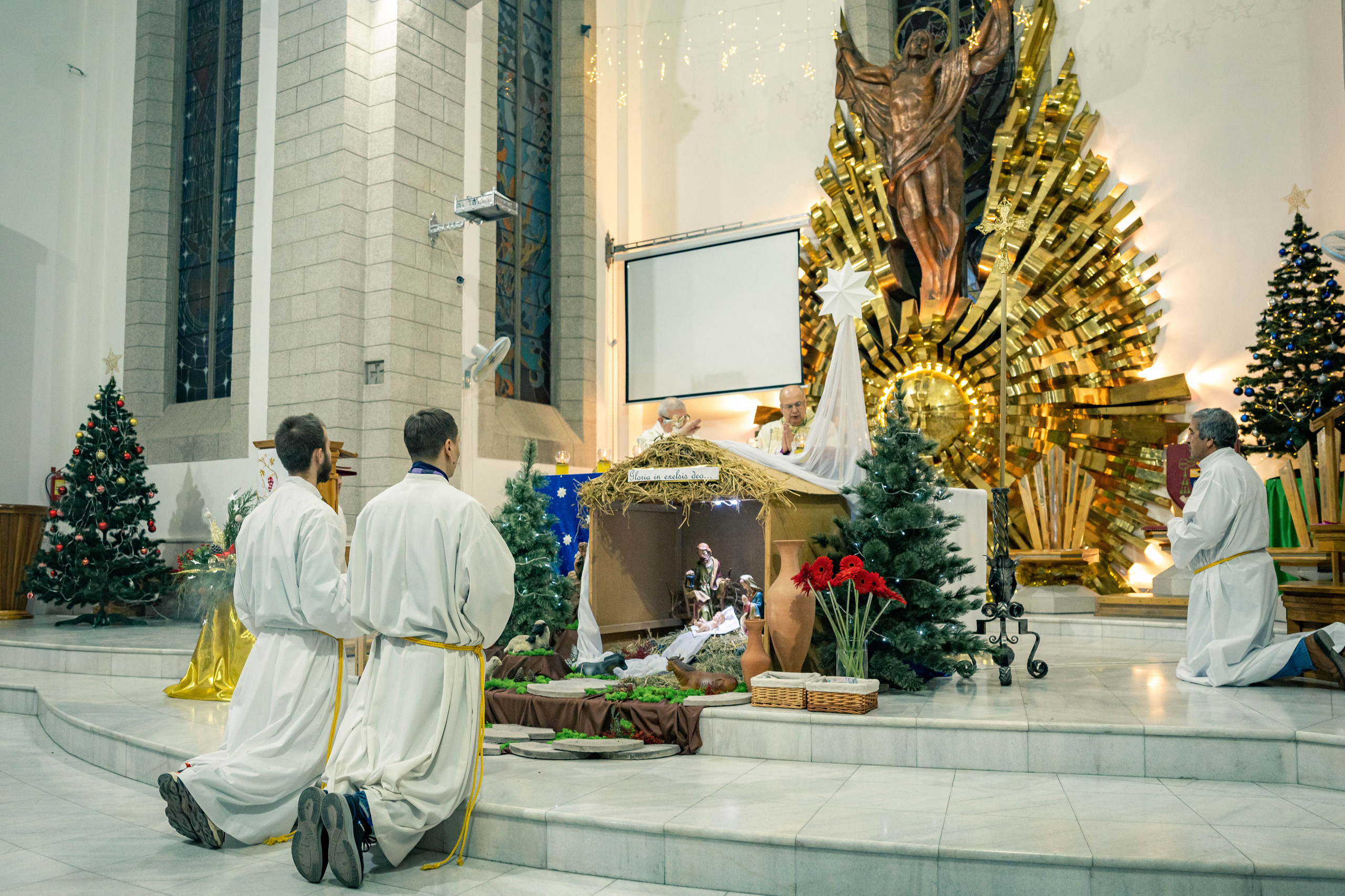 Католическое Рождество: как узбекистанцы его отметили. Георгий Намазов | Фотограф в Ташкенте