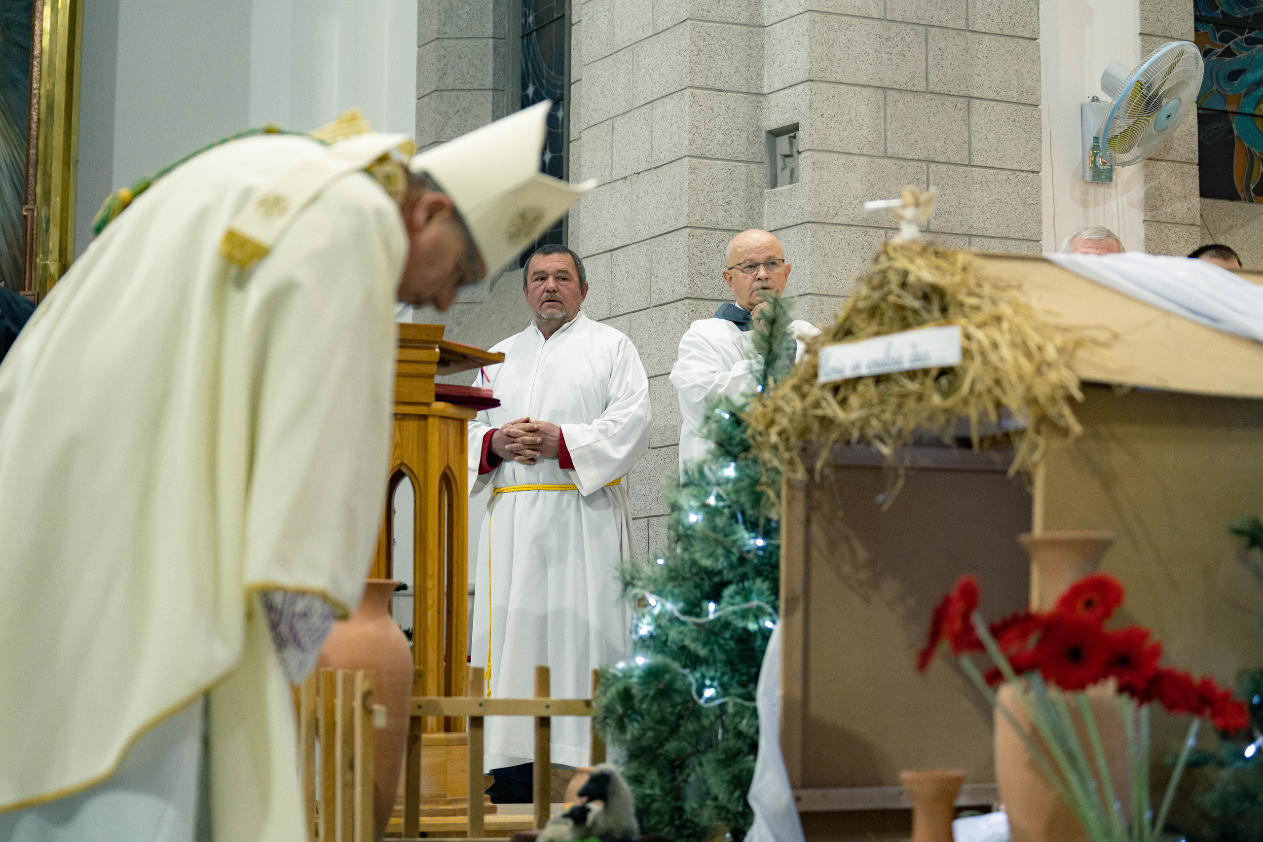 Католическое Рождество: как узбекистанцы его отметили. Георгий Намазов | Фотограф в Ташкенте