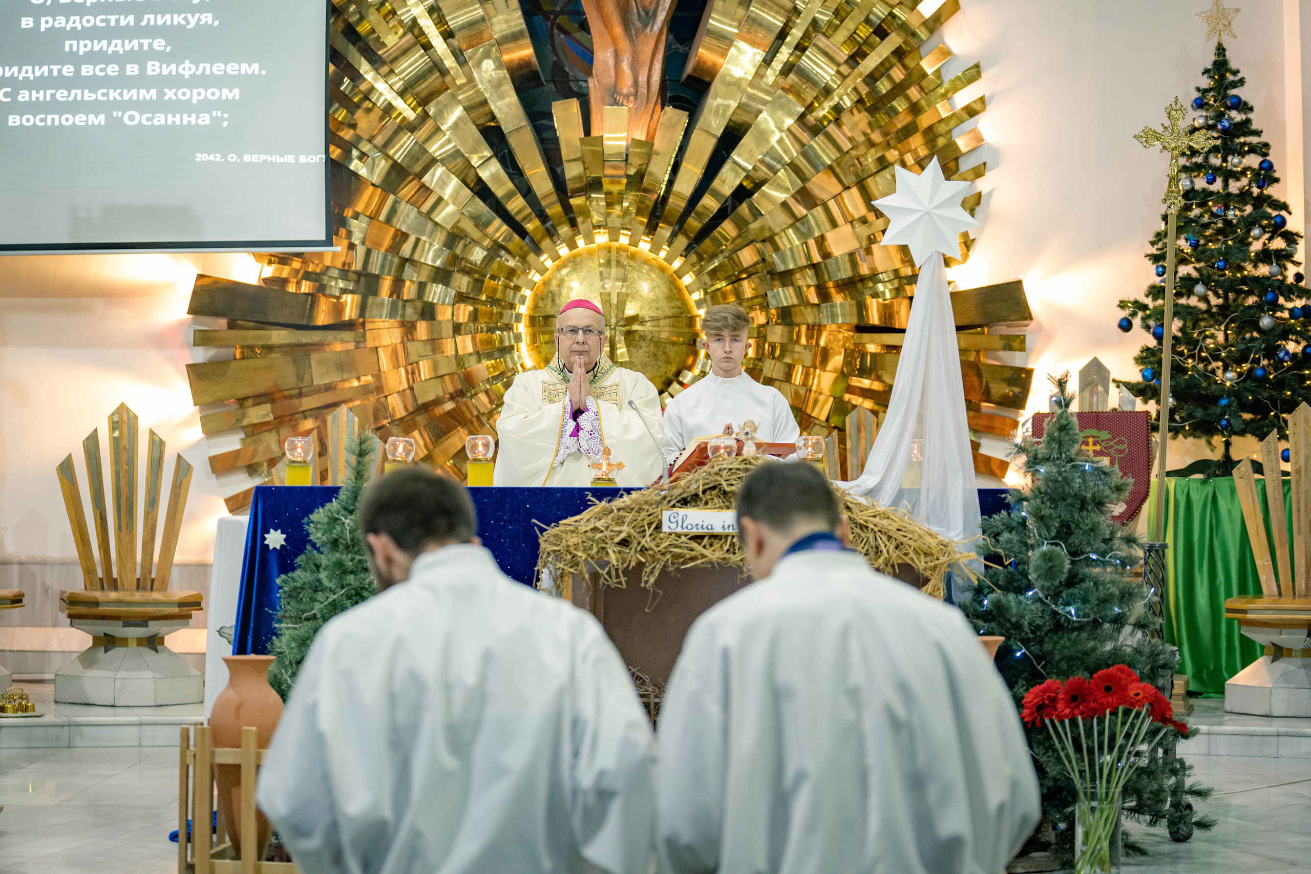 Католическое Рождество: как узбекистанцы его отметили. Георгий Намазов | Фотограф в Ташкенте