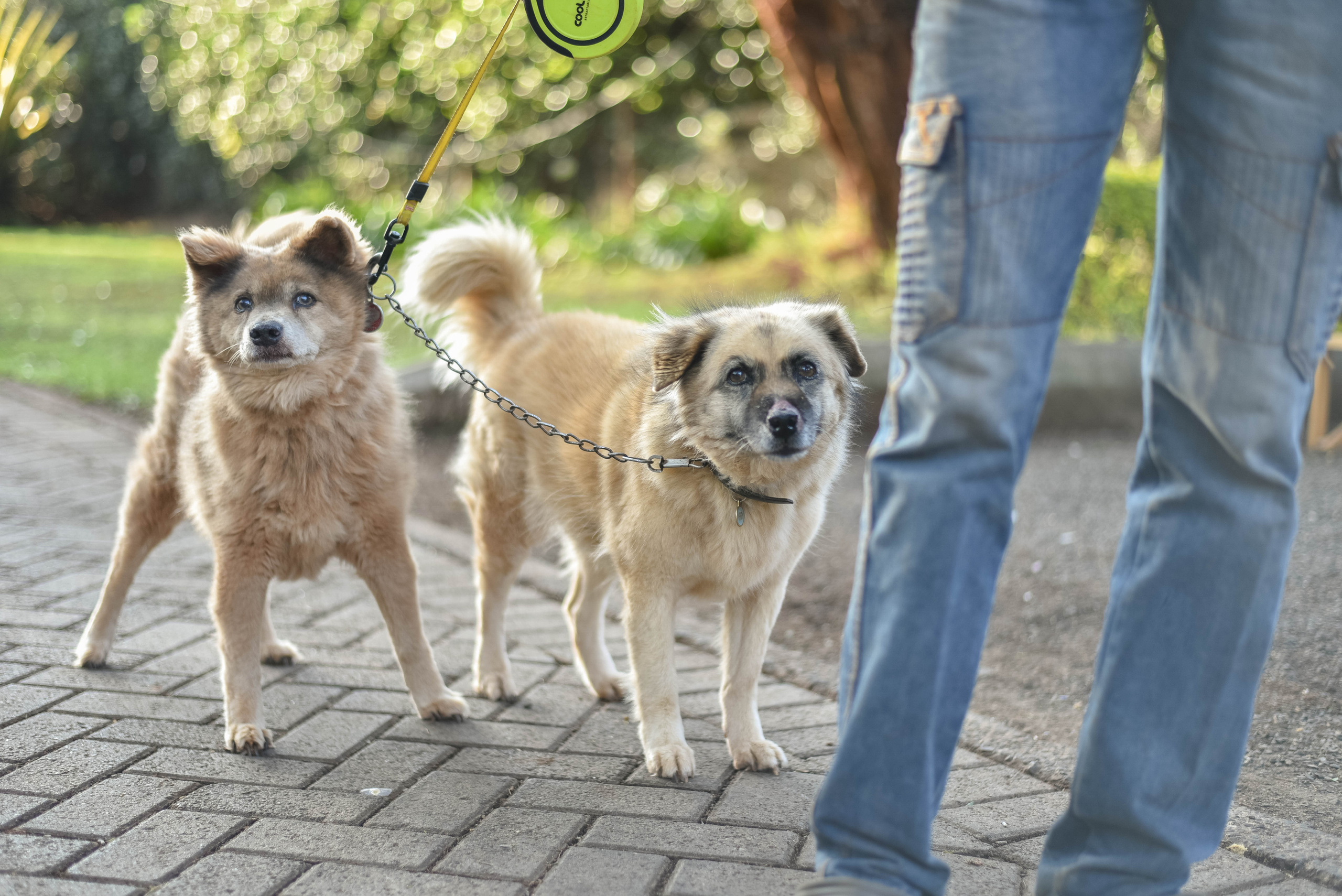 Halloween street party Nairobi Kenya 2021. Newborn, Baby, Maternity and Family Photographer Nairobi Mombasa Kenya