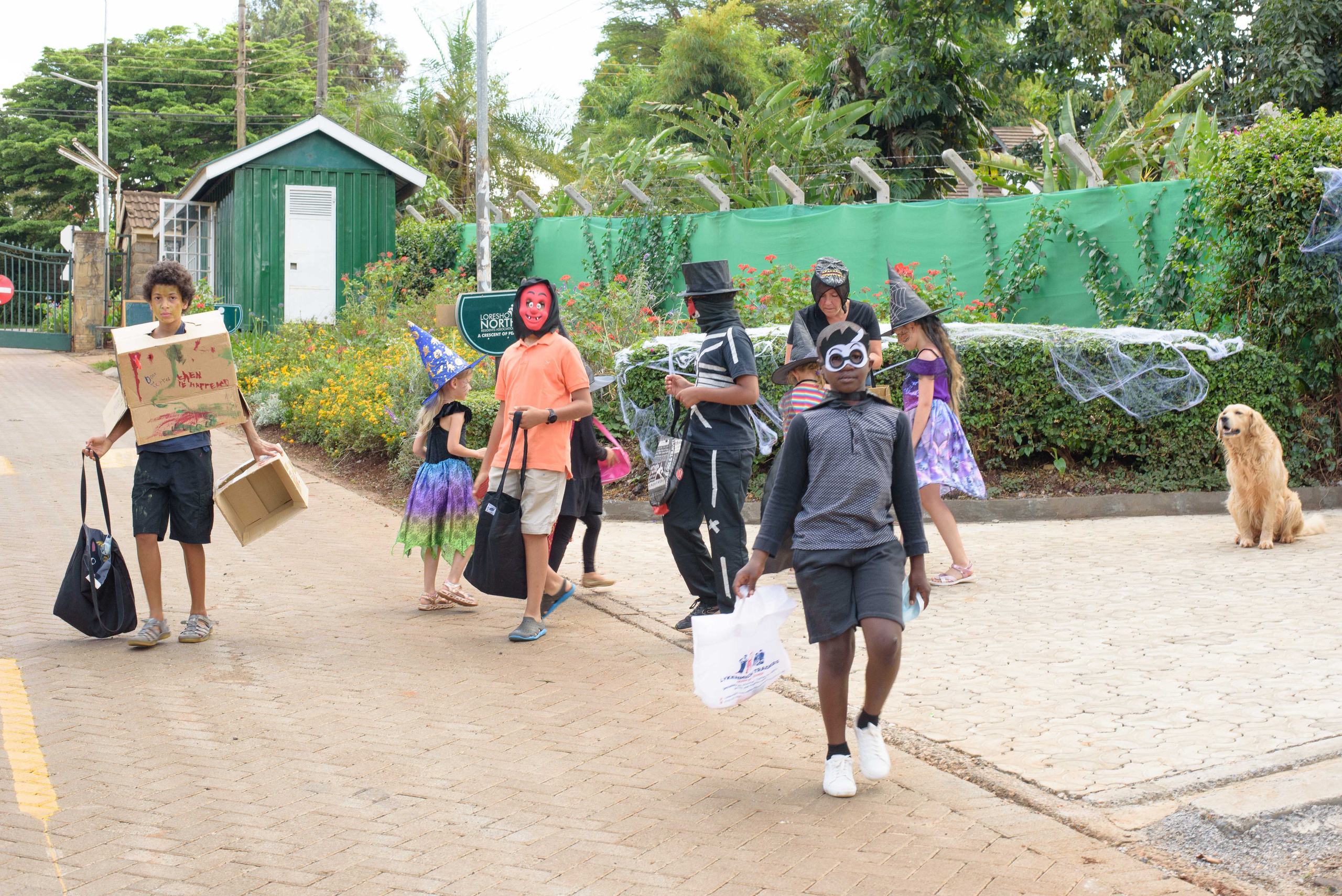 Halloween street party Nairobi Kenya 2021. Newborn, Baby, Maternity and Family Photographer Nairobi Mombasa Kenya