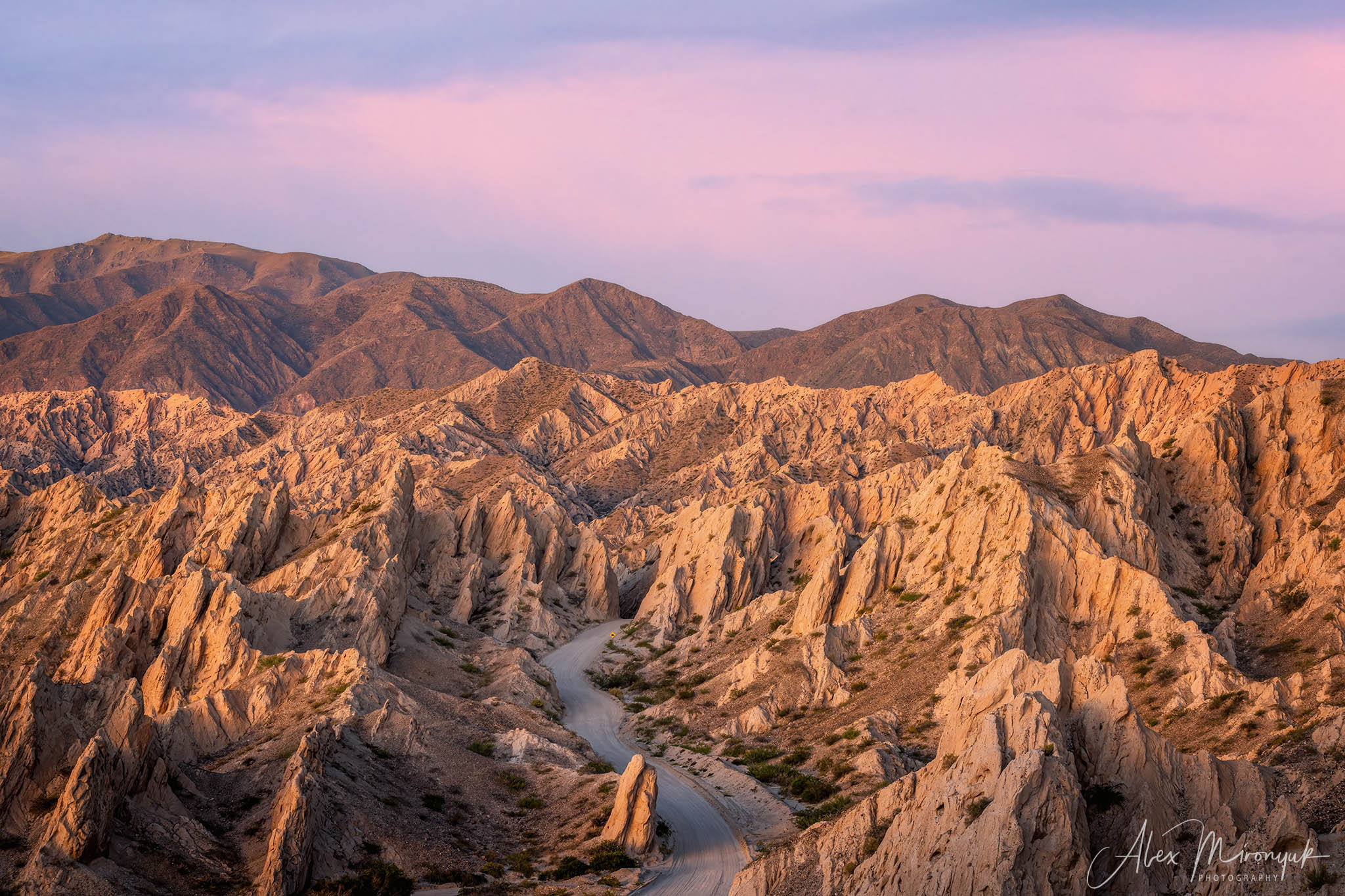 Unknown Northern Argentina. Pet, Senior, Landscape, portrait studio, photographer in Miami and Sou