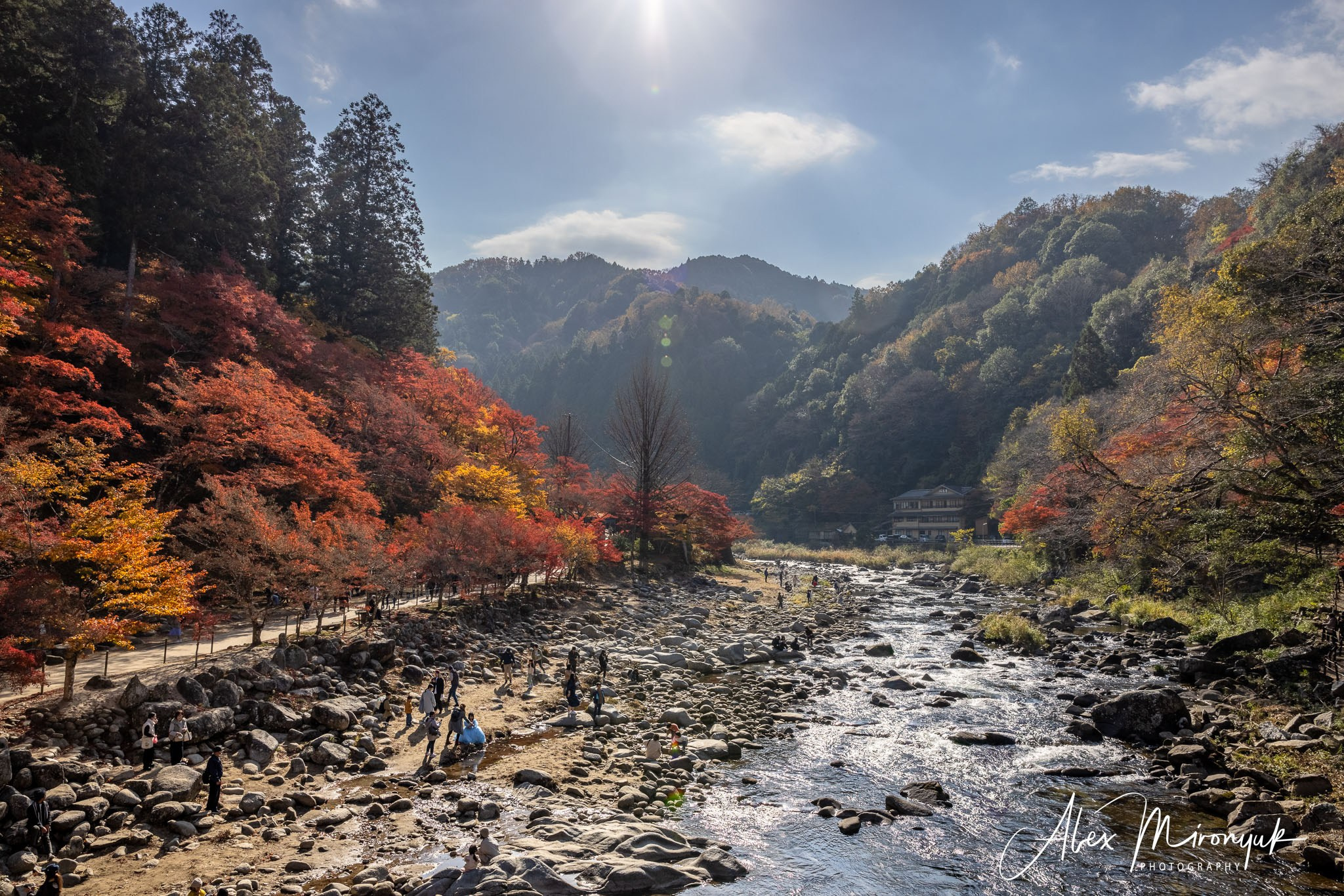 Autumn Colors of Japan. Pet, Senior, Landscape, portrait studio, photographer in Miami and Sou
