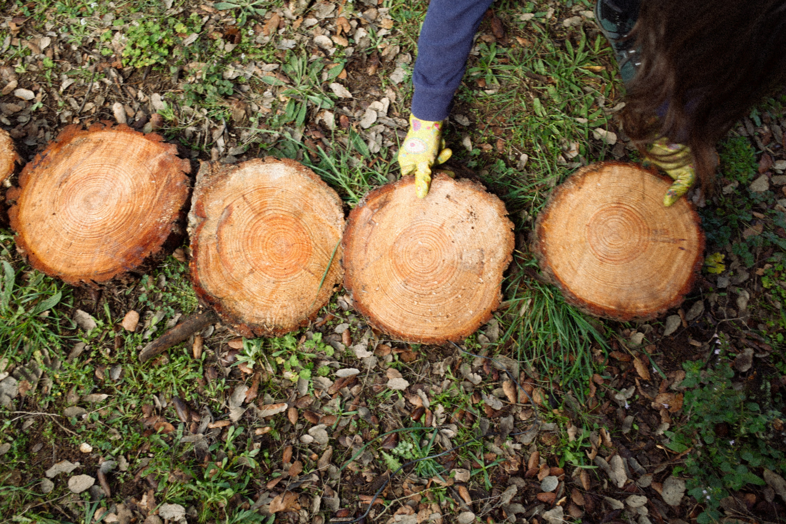 Farmers working the land at Can Durán syntropic farm