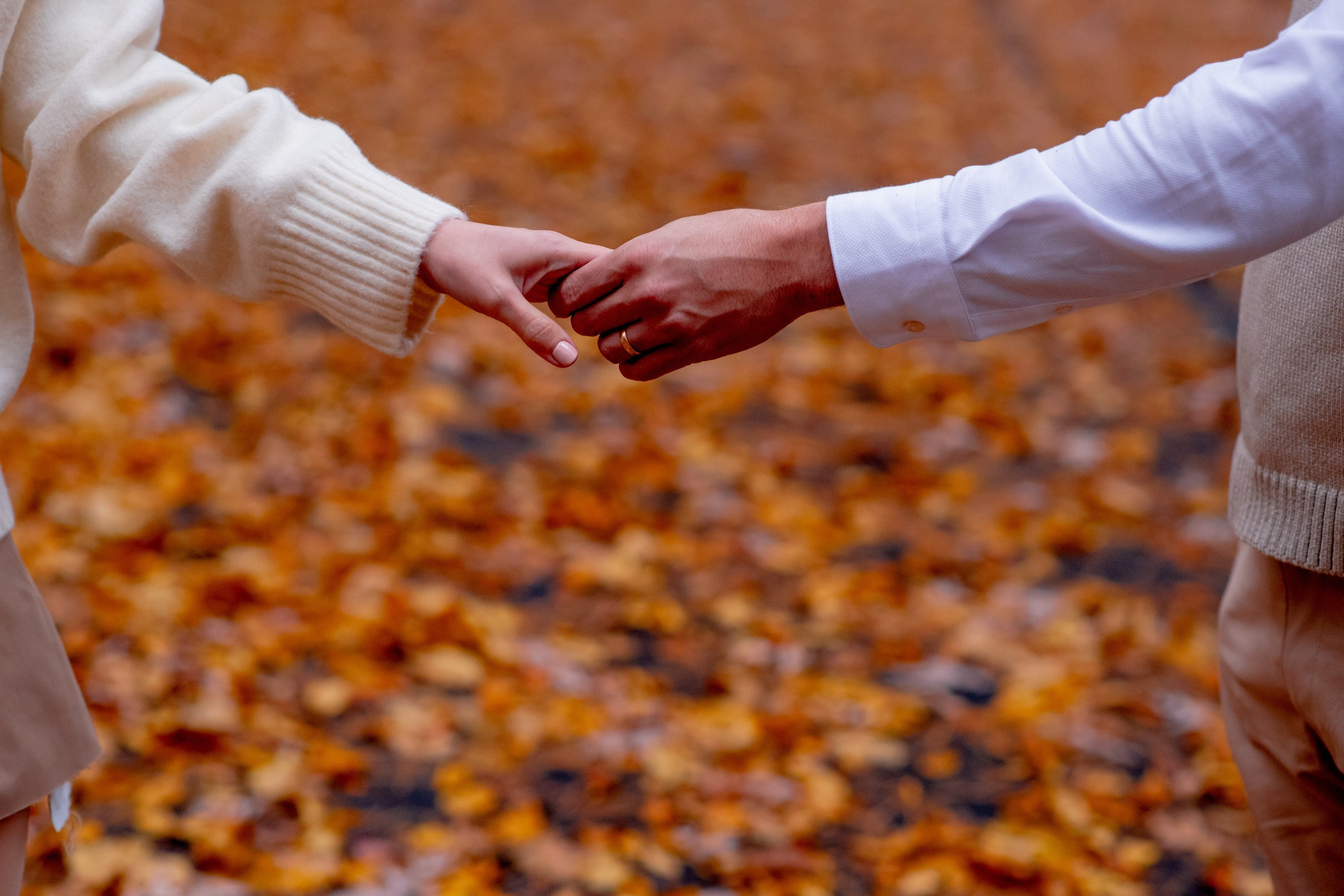 Capturing Fall Love: Shelen and Marcelo’s Romantic Photoshoot in Boston. Wedding photographer in Orlando, Boston & New York Anderson Marques