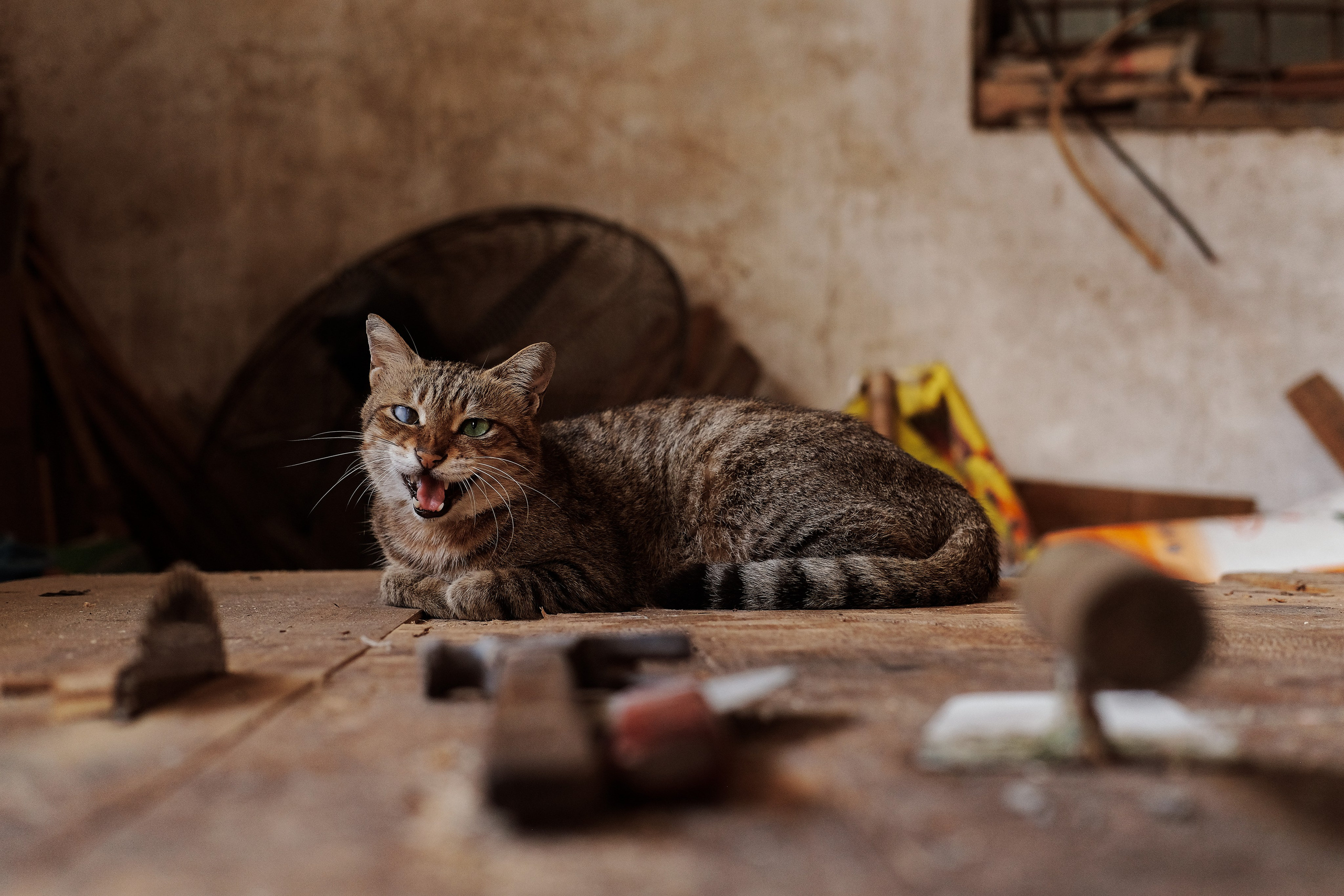 Workshop Guardian in Chinese Village