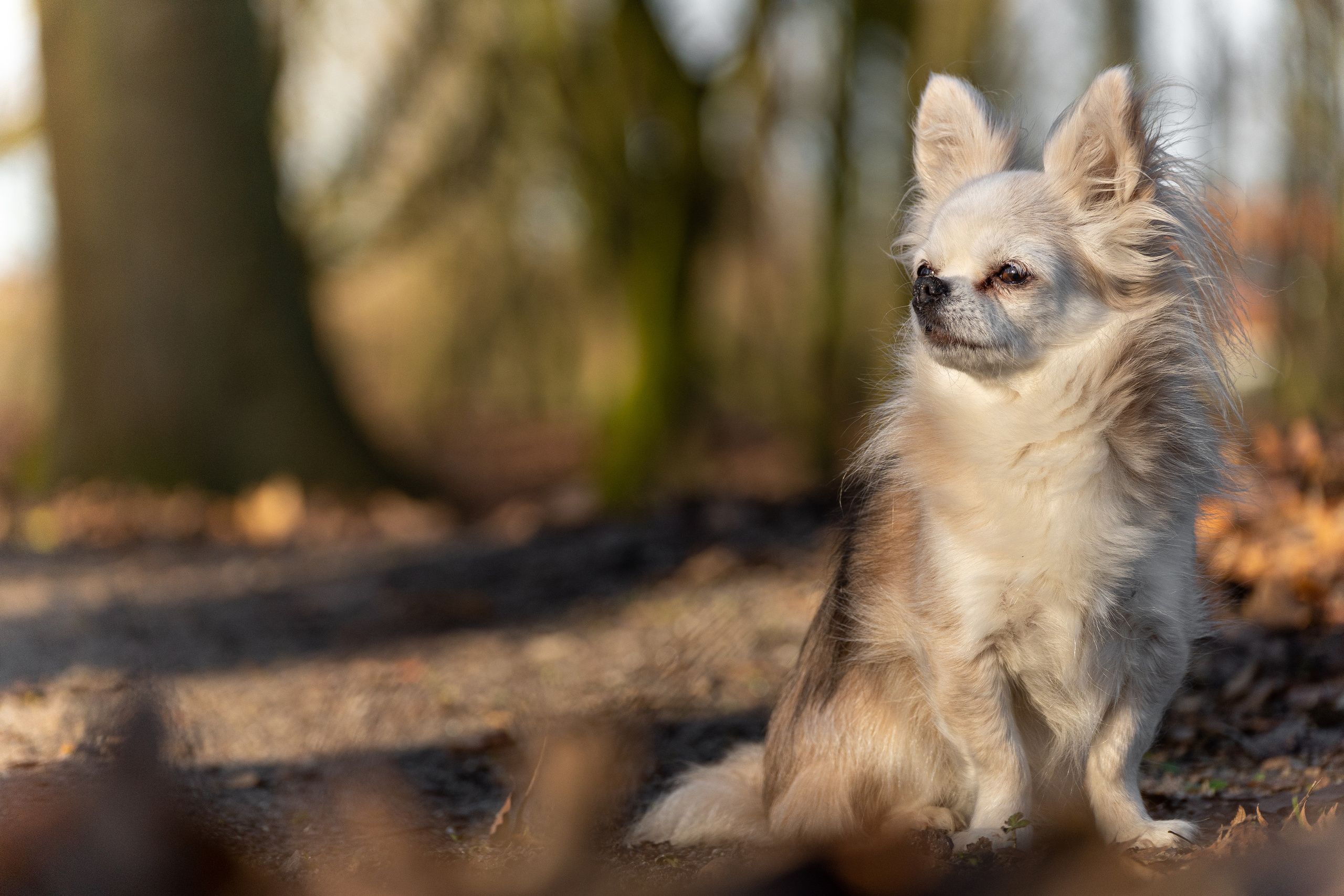 Thorben Ihler - Dein Fotograf aus Emden
