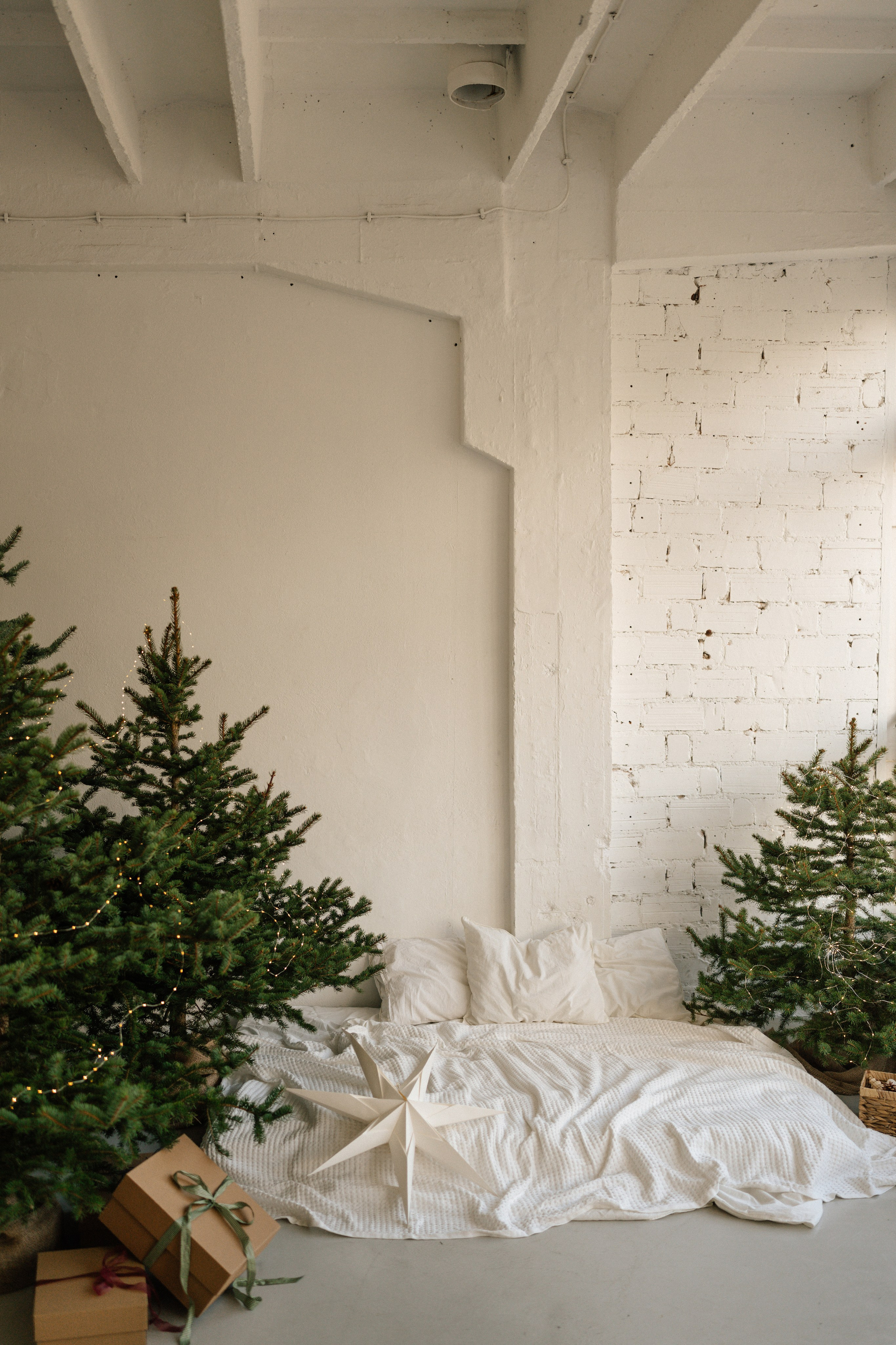 Студії новорічні. Весільний, сімейний фотограф Варшава