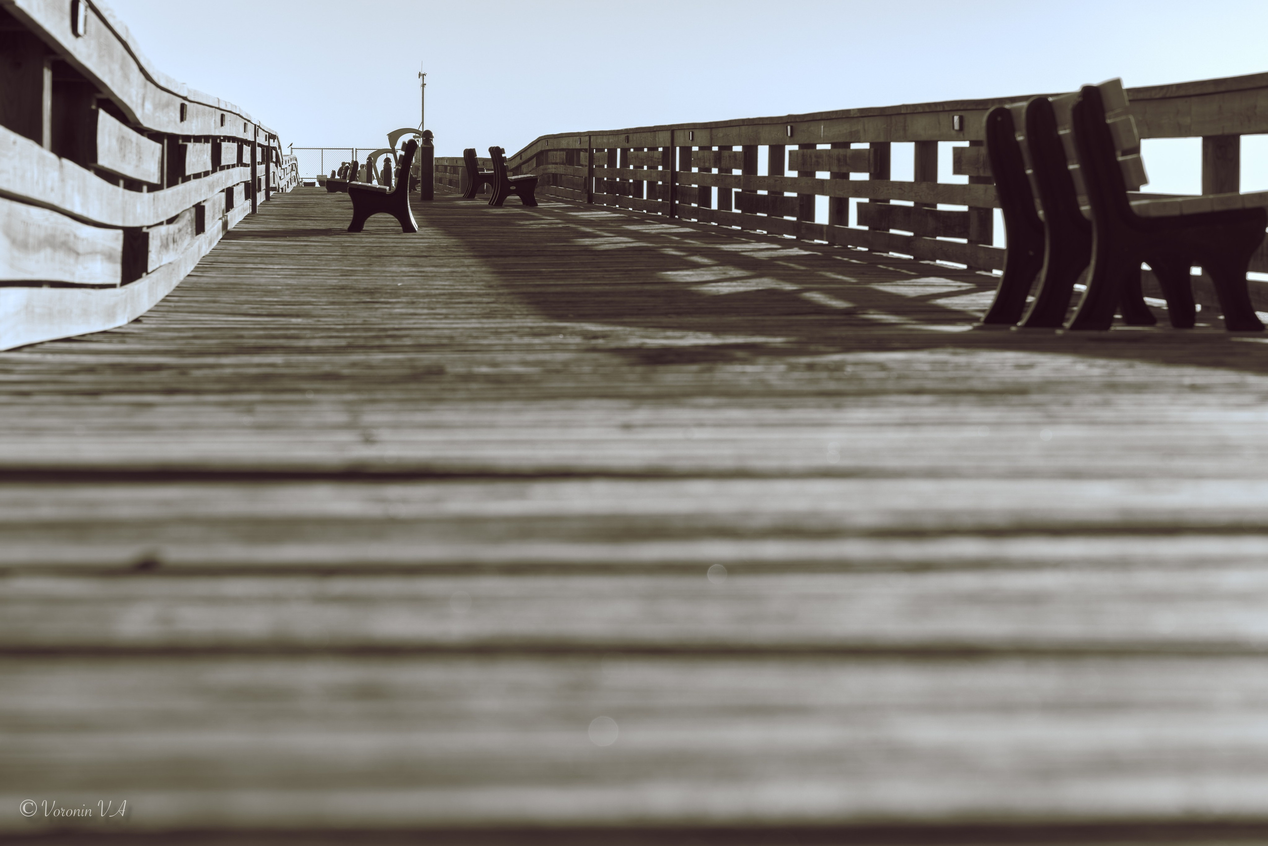 Vladimir Voronin — Walks, Portraits & Premium Prints. Photographer St. Augustine