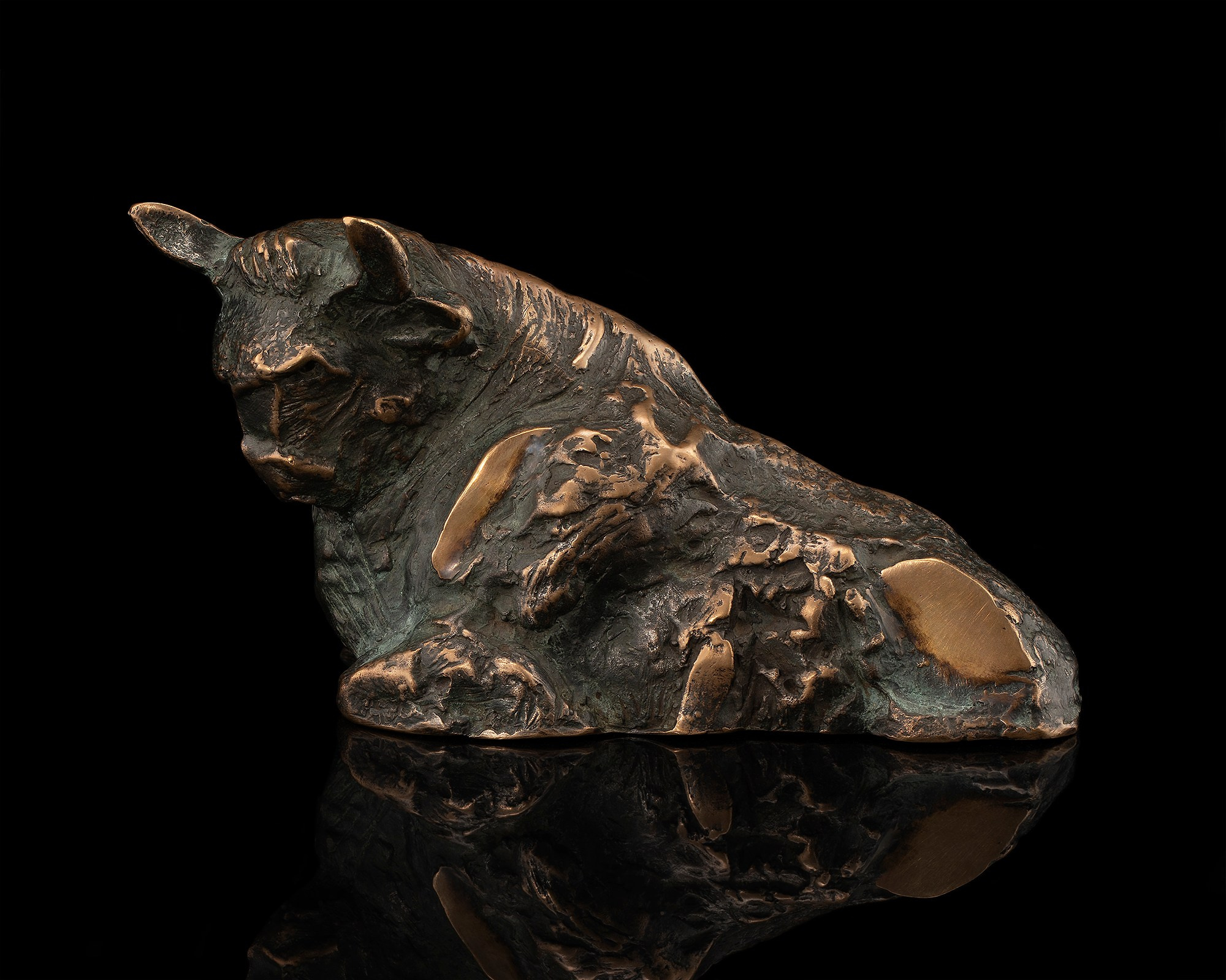 Photographer Roman Djuzev - Photo Copper sculpture on a dark background, sculptor Lucas Teguara