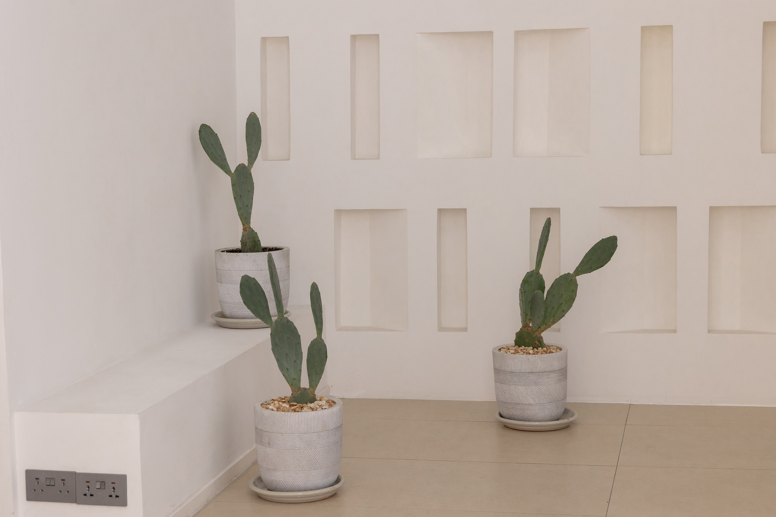 Rental. Dune Zone. Photo and video production in Dubai UAE