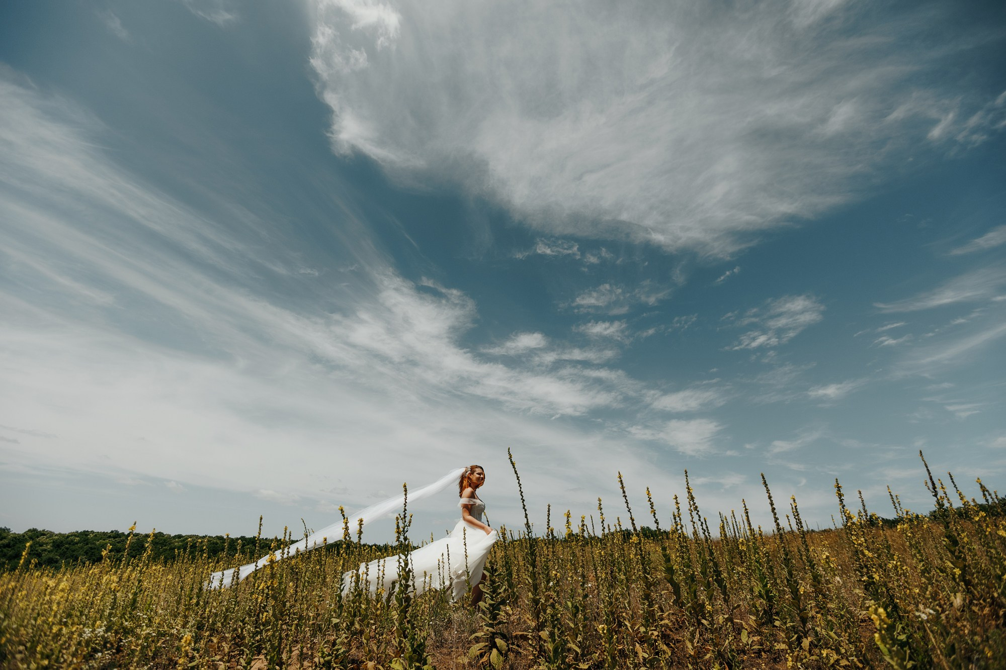 Andrei si Adelina. Wedding photographer and videographer