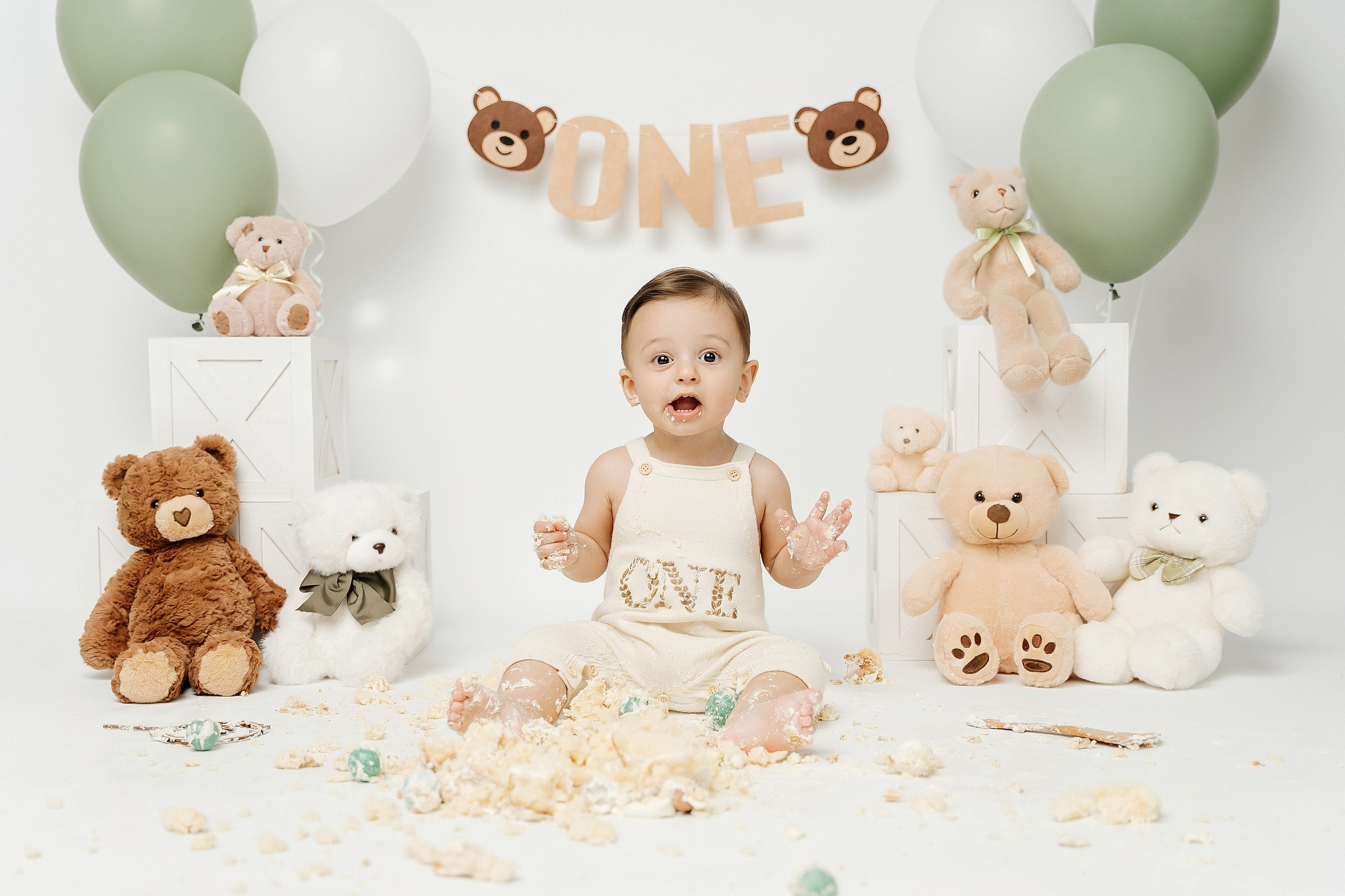 Teddy Bear One Year Cake Smash Photos. Newborn and family photographer. Hills District. Sydney