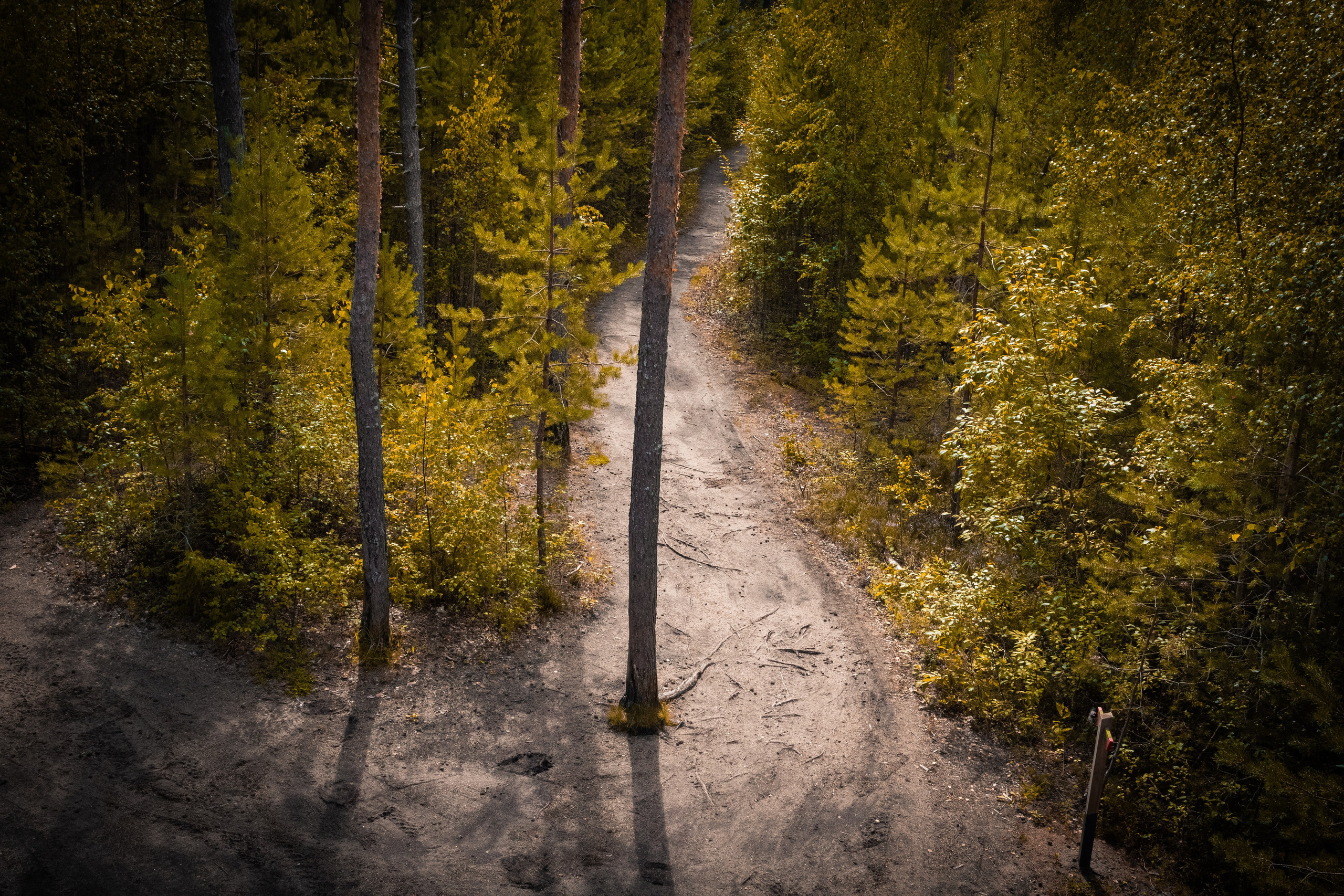 Nebula 25 — Fotod teie hingele