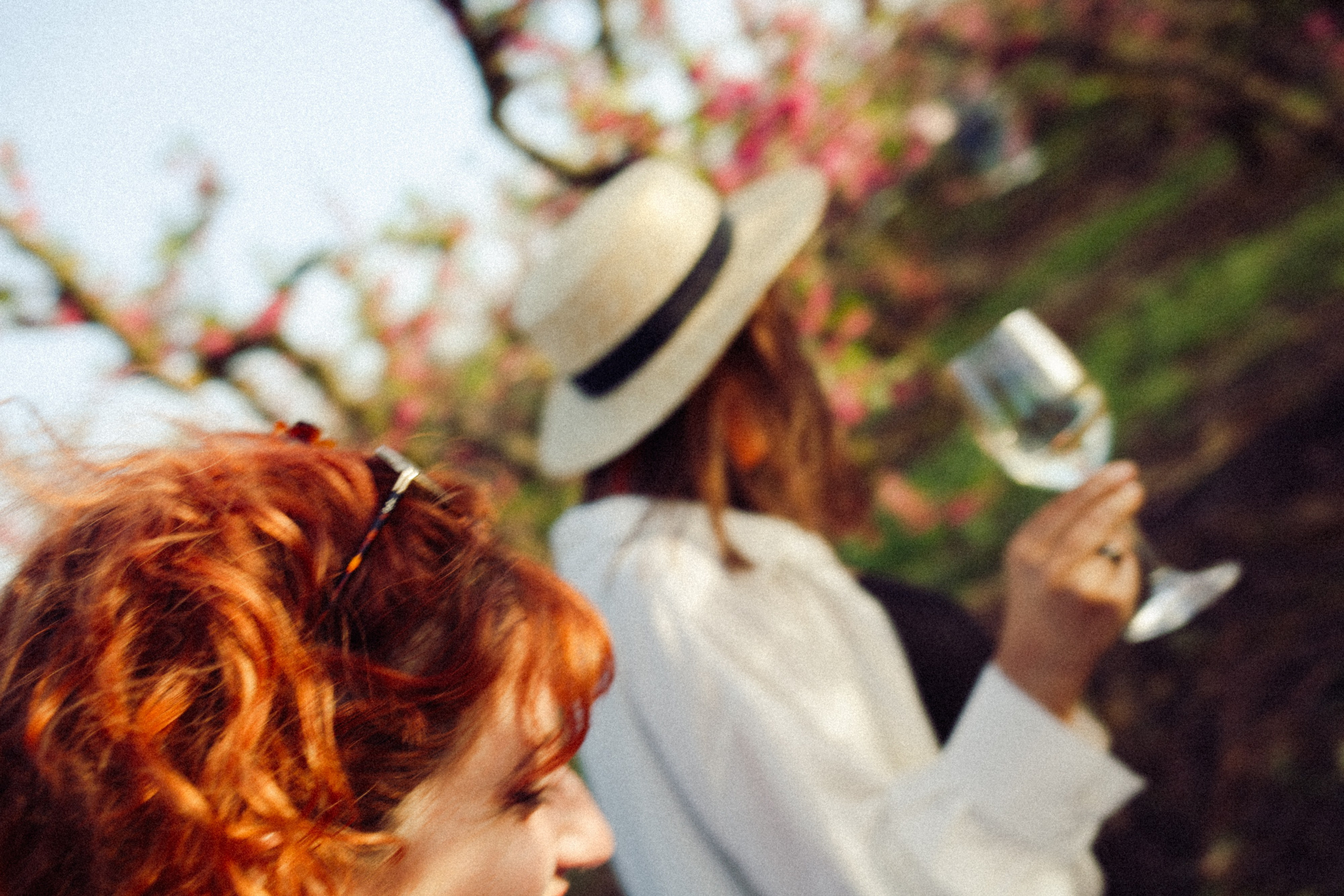 Visual storytelling for Gramona: from earth to glass