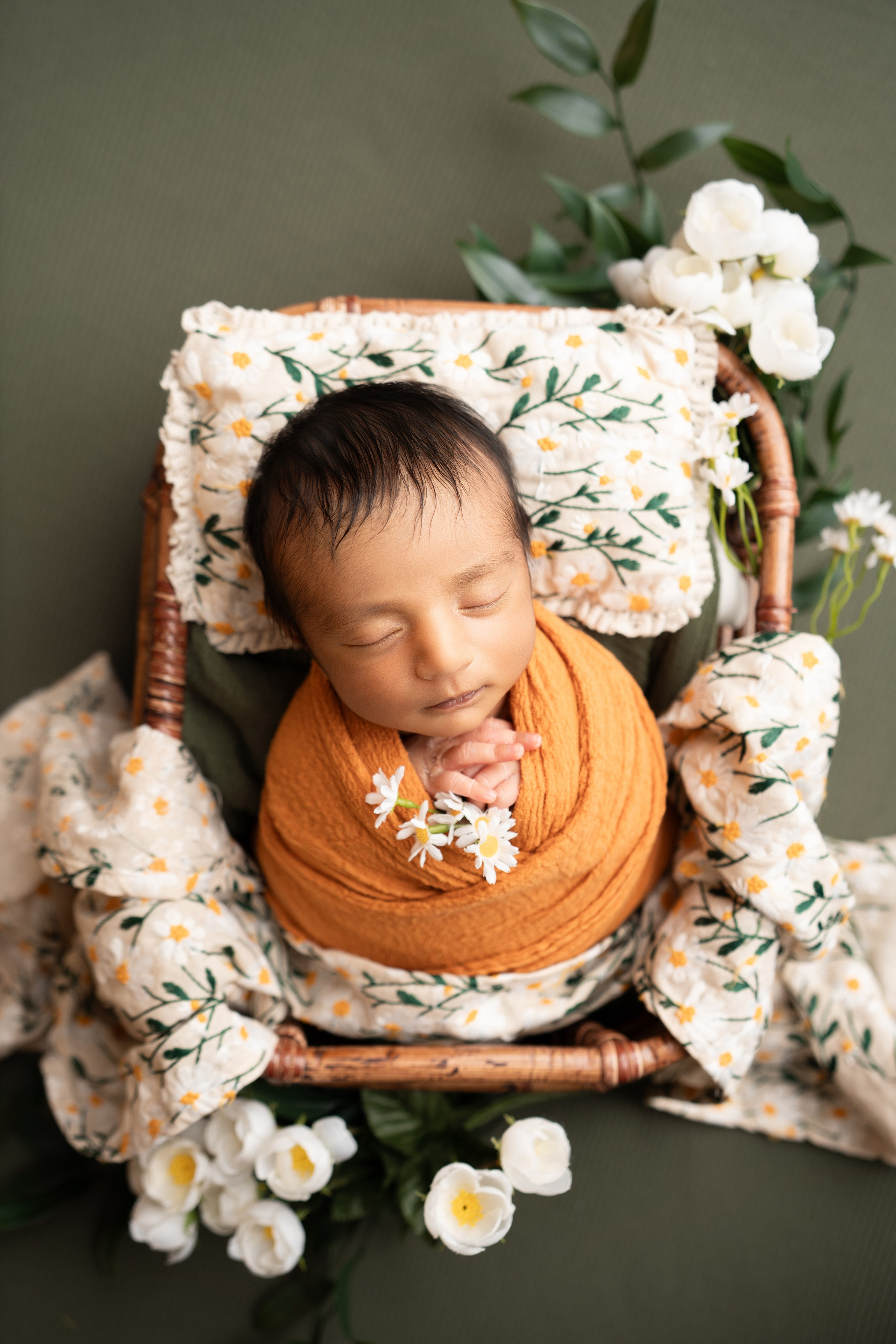 Posed Newborn. Maternity, family and newborn photography in San Francisco Bay Area