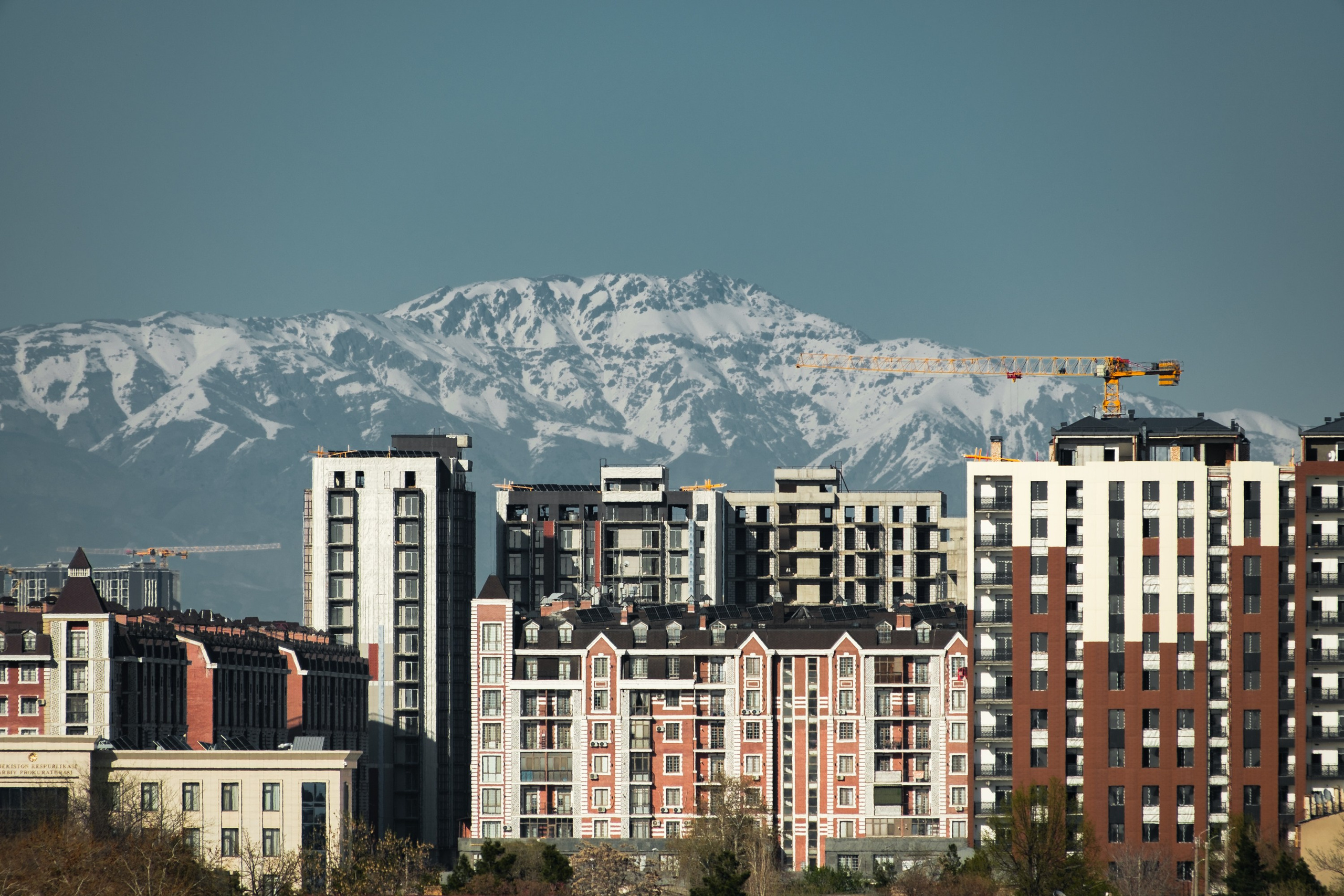 Обзор на объектив 16-300мм Sigma. Личные впечатления и опыт использования. Фотограф Григорий Кравец