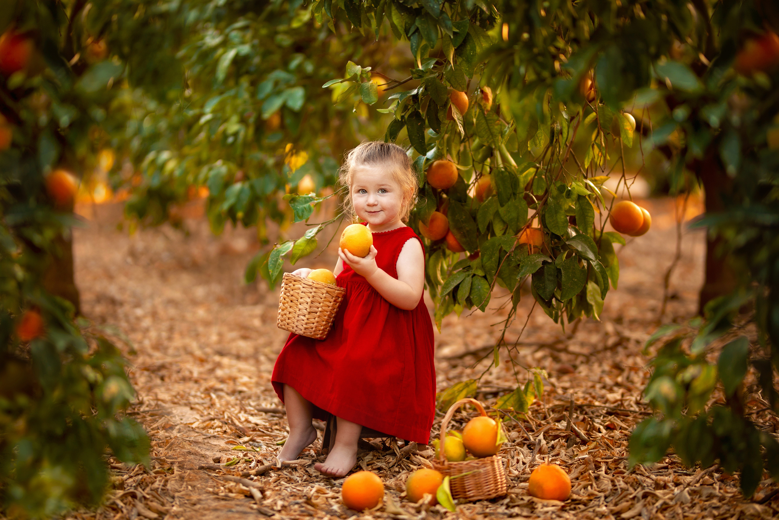 От 2 до 3 лет. Наталья Розман детский и семейные фотограф в Израиле, Ашкелон