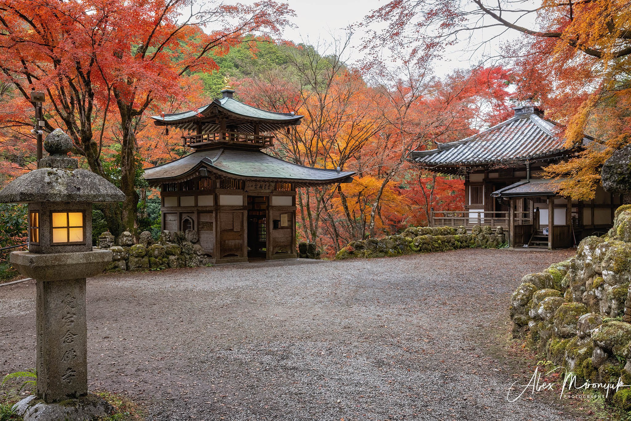 Autumn Colors of Japan. Pet, Senior, Landscape, portrait studio, photographer in Miami and Sou