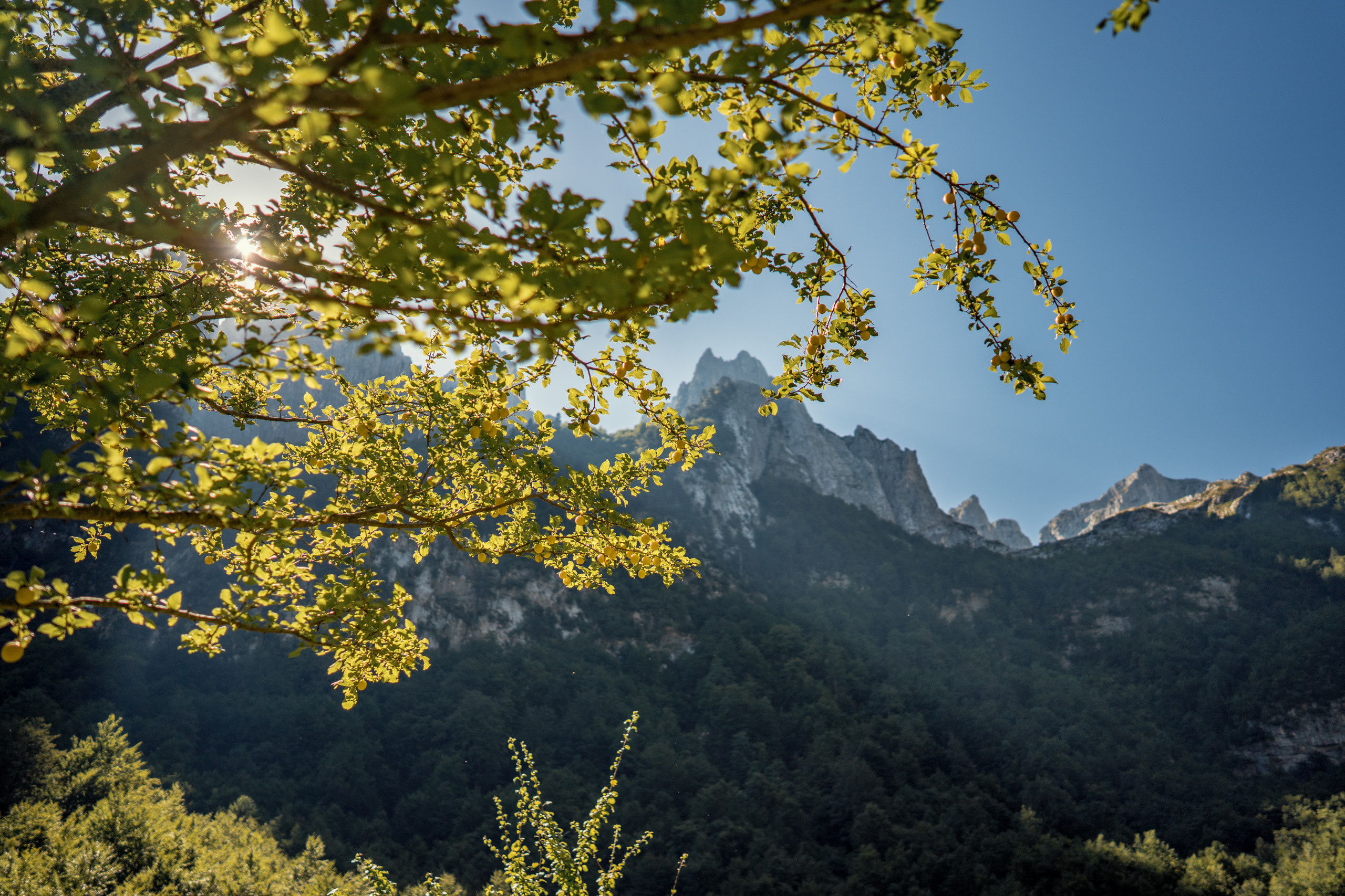 Het Nationaal Park Prokletje in Montenegro