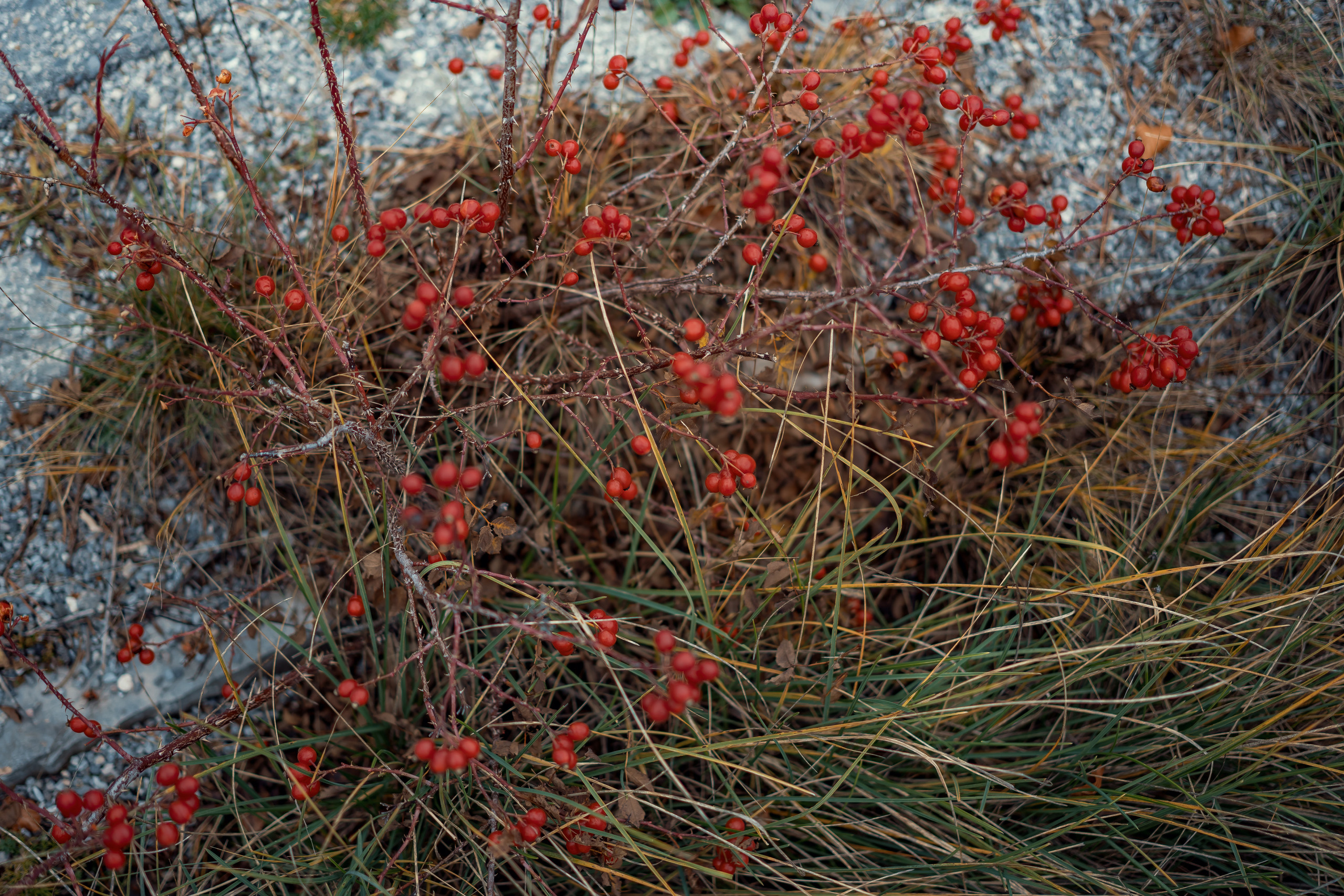 Herbst in Montenegro. Wetter, Erholung, Sehenswürdigkeiten, wohin gehe