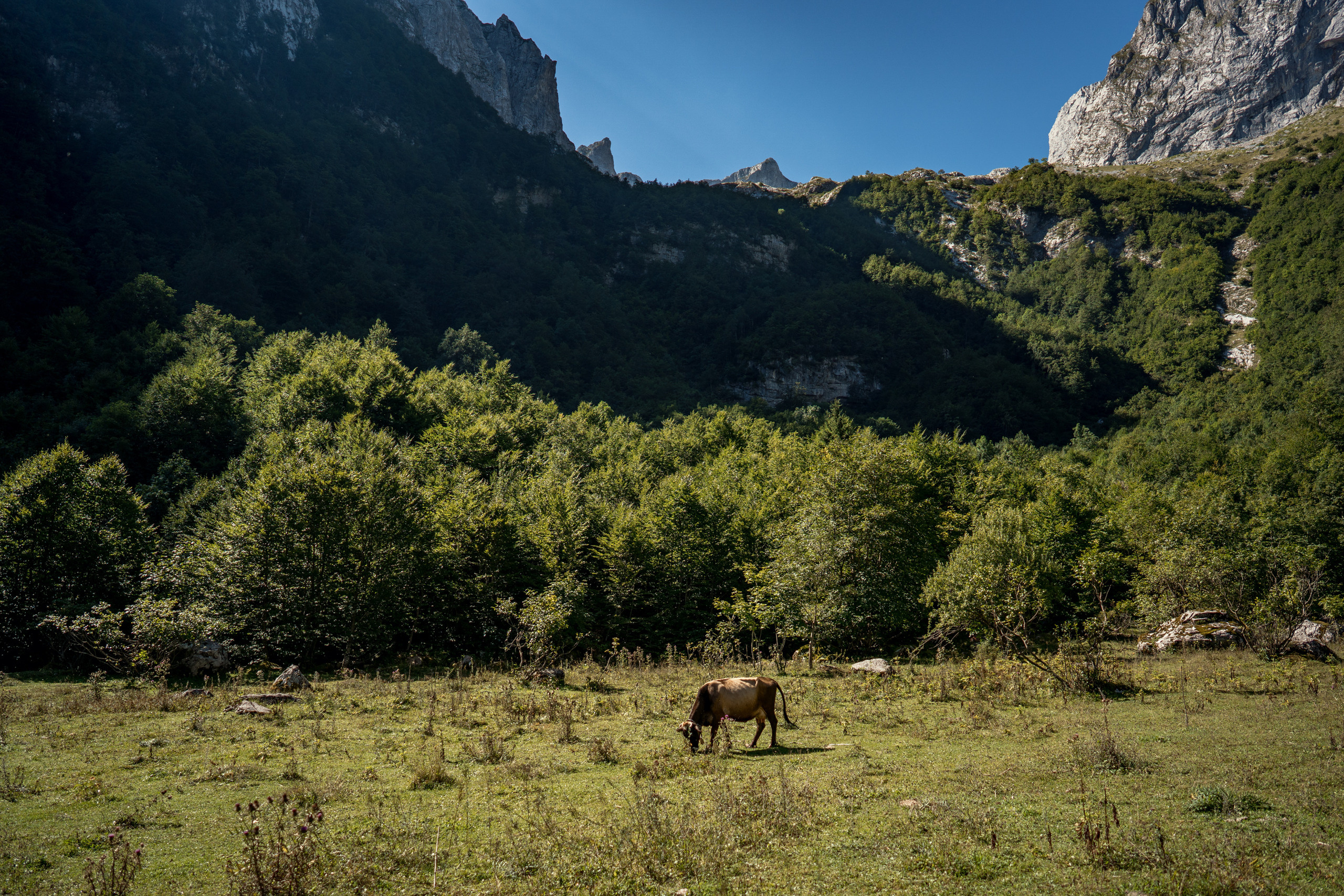 Het Nationaal Park Prokletje in Montenegro