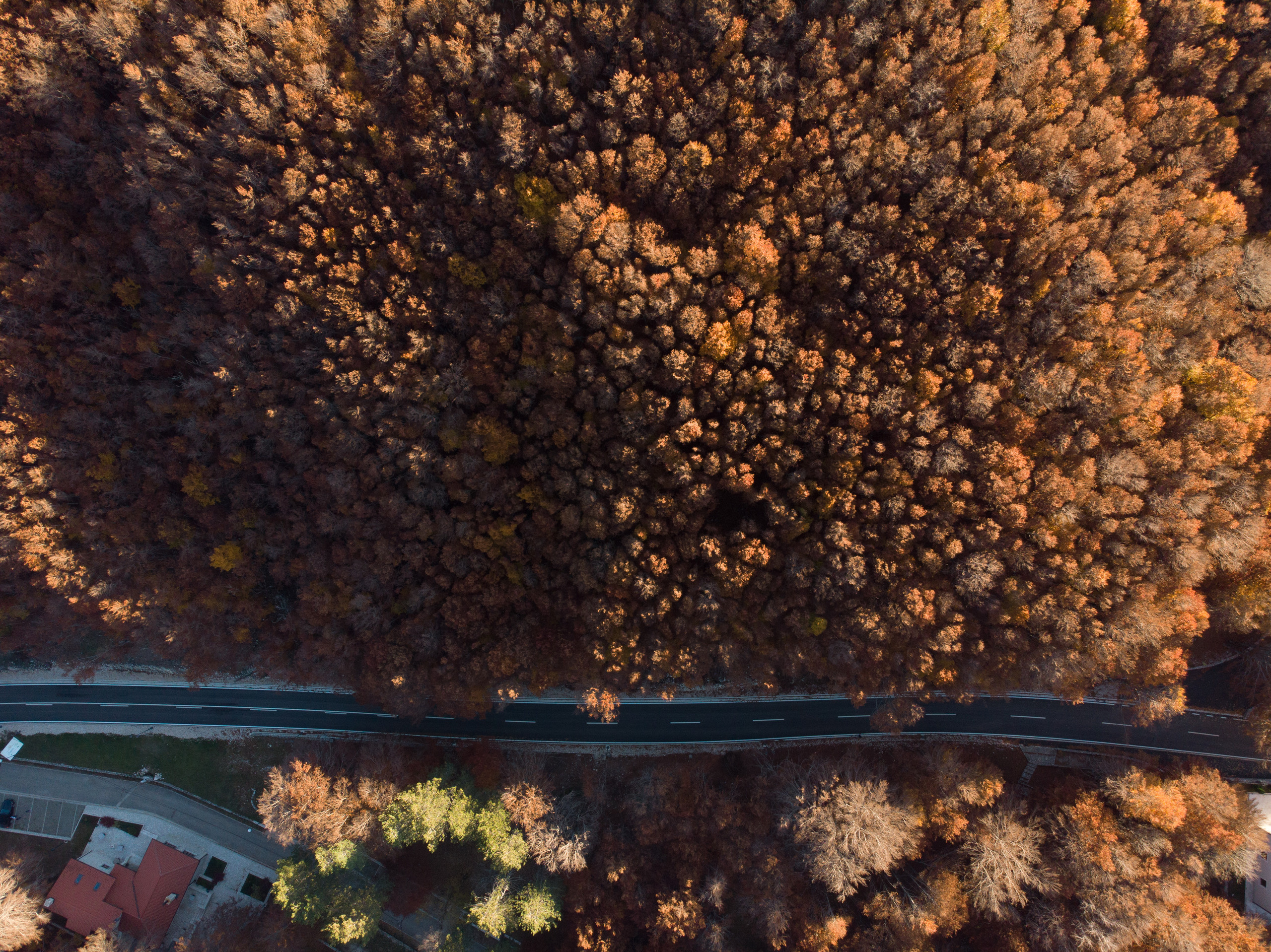Herbst in Montenegro. Wetter, Erholung, Sehenswürdigkeiten, wohin gehe