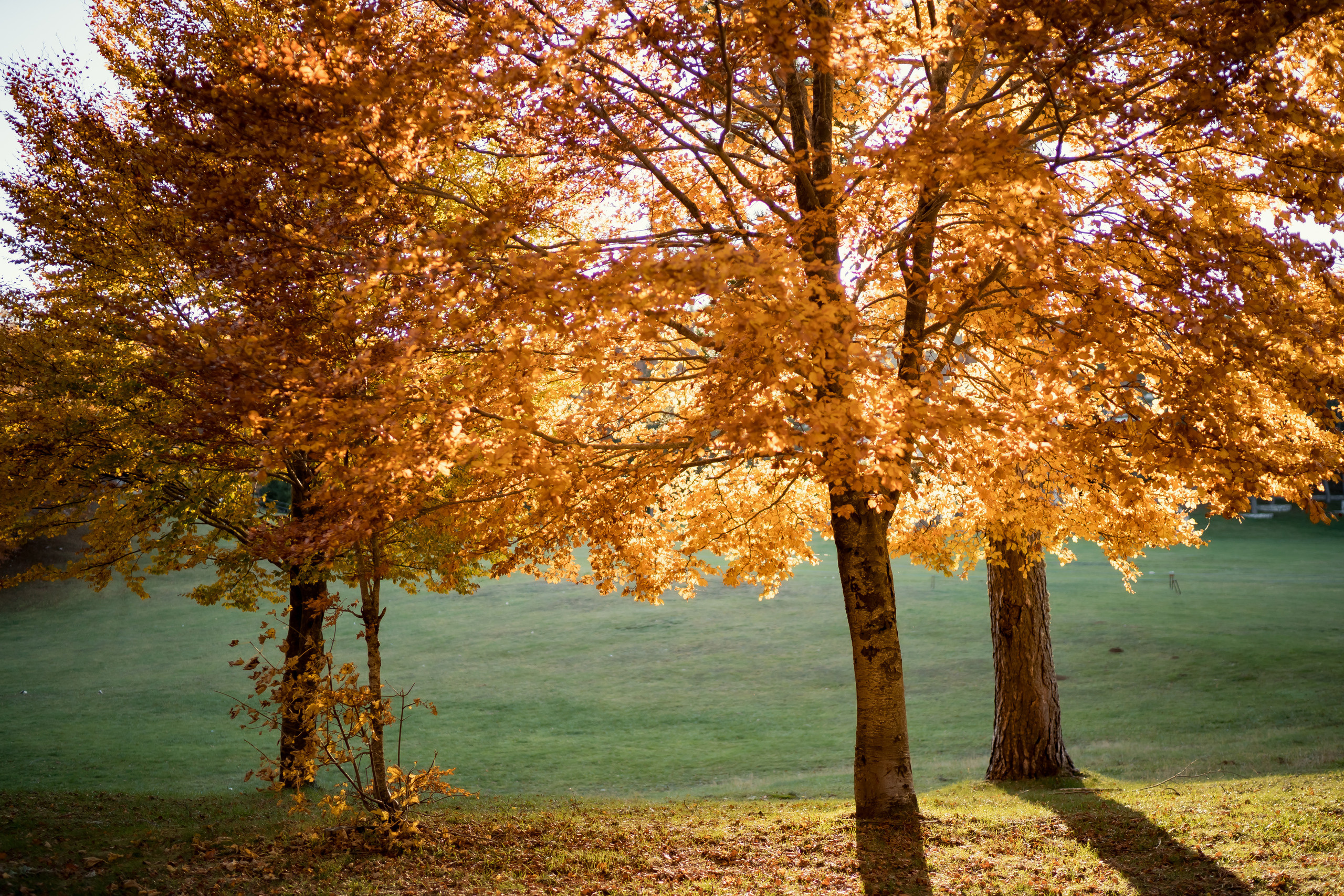 Herbst in Montenegro. Wetter, Erholung, Sehenswürdigkeiten, wohin gehe