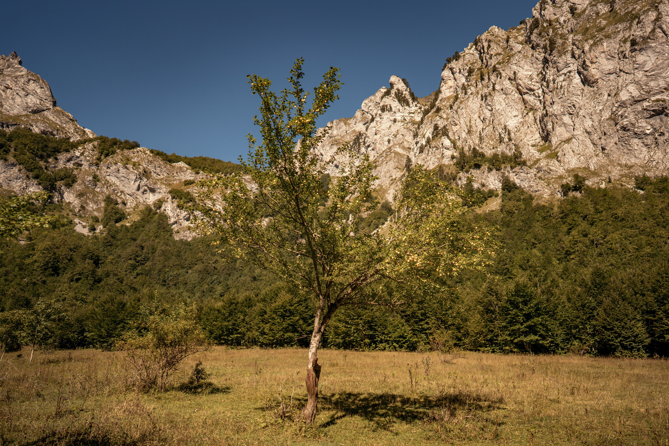 Het Nationaal Park Prokletje in Montenegro