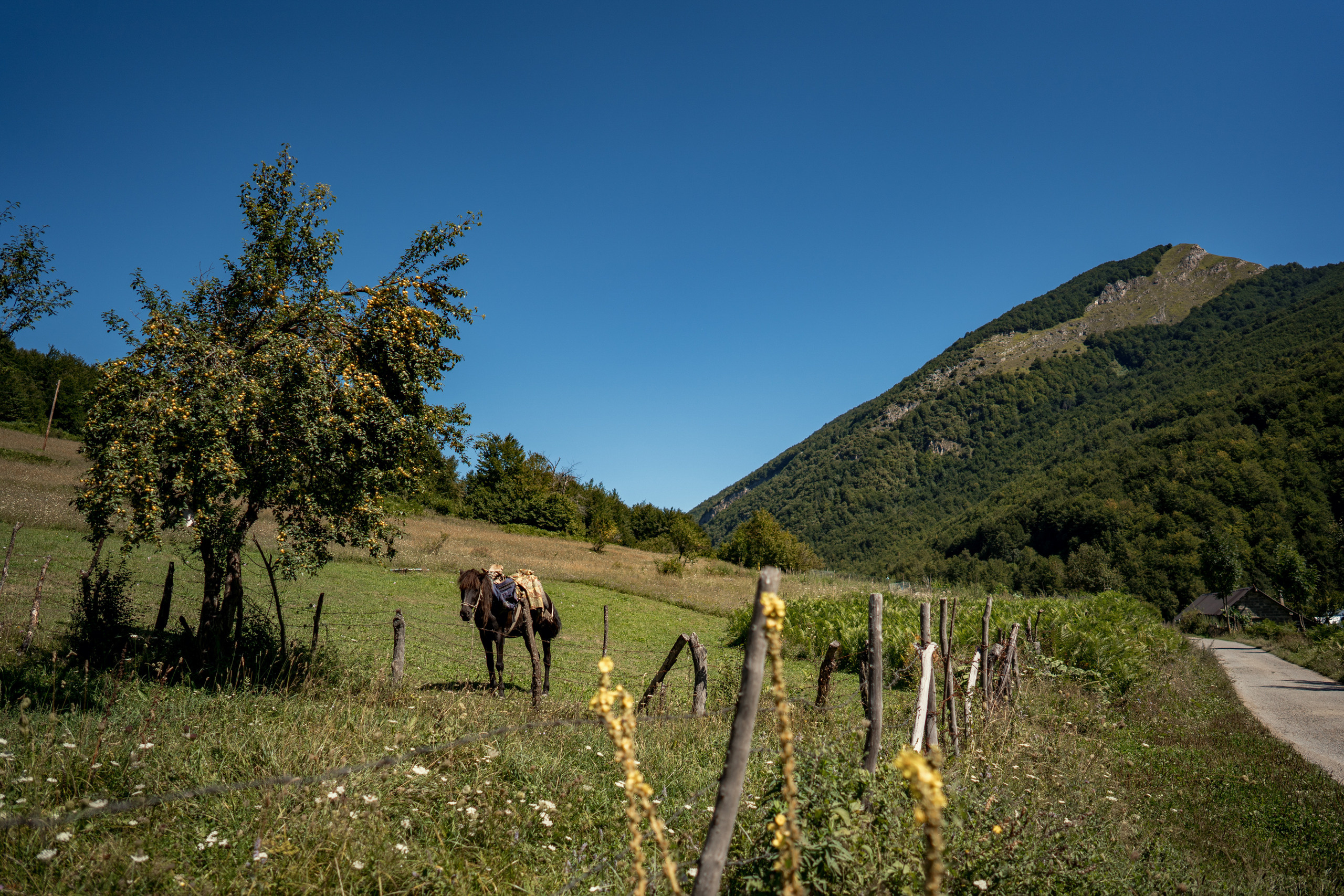 Het Nationaal Park Prokletje in Montenegro
